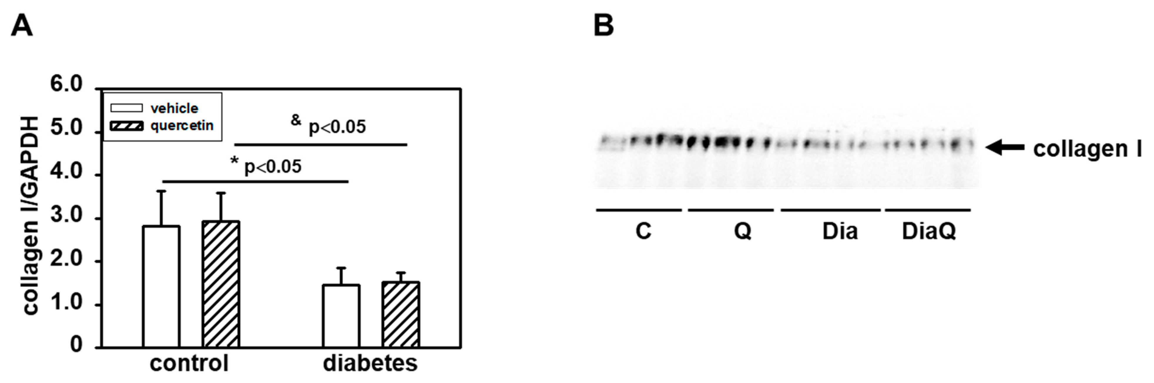 Ijms 22 04457 g005 Ijms 22 04457 g005