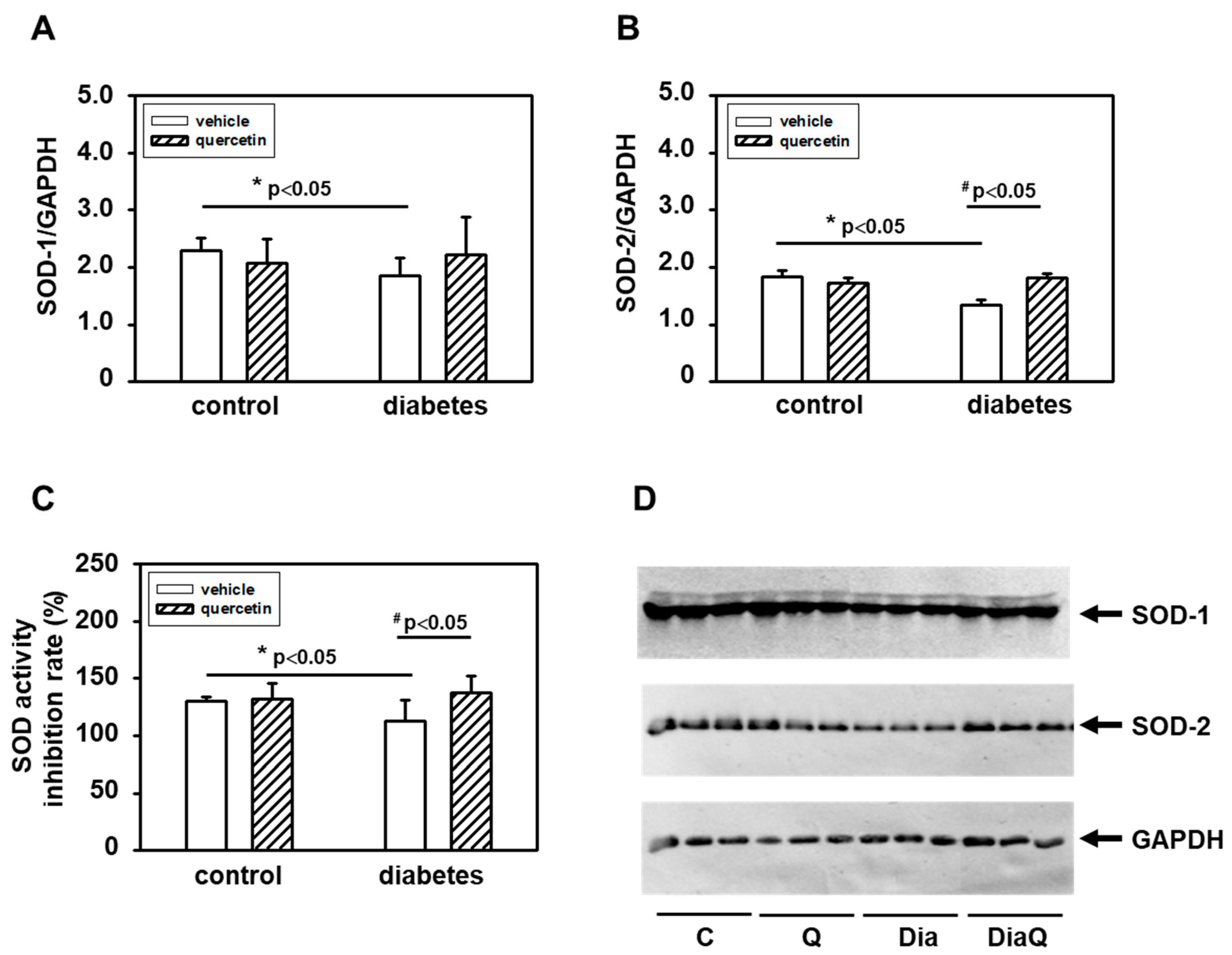 Ijms 22 04457 g006 Ijms 22 04457 g006