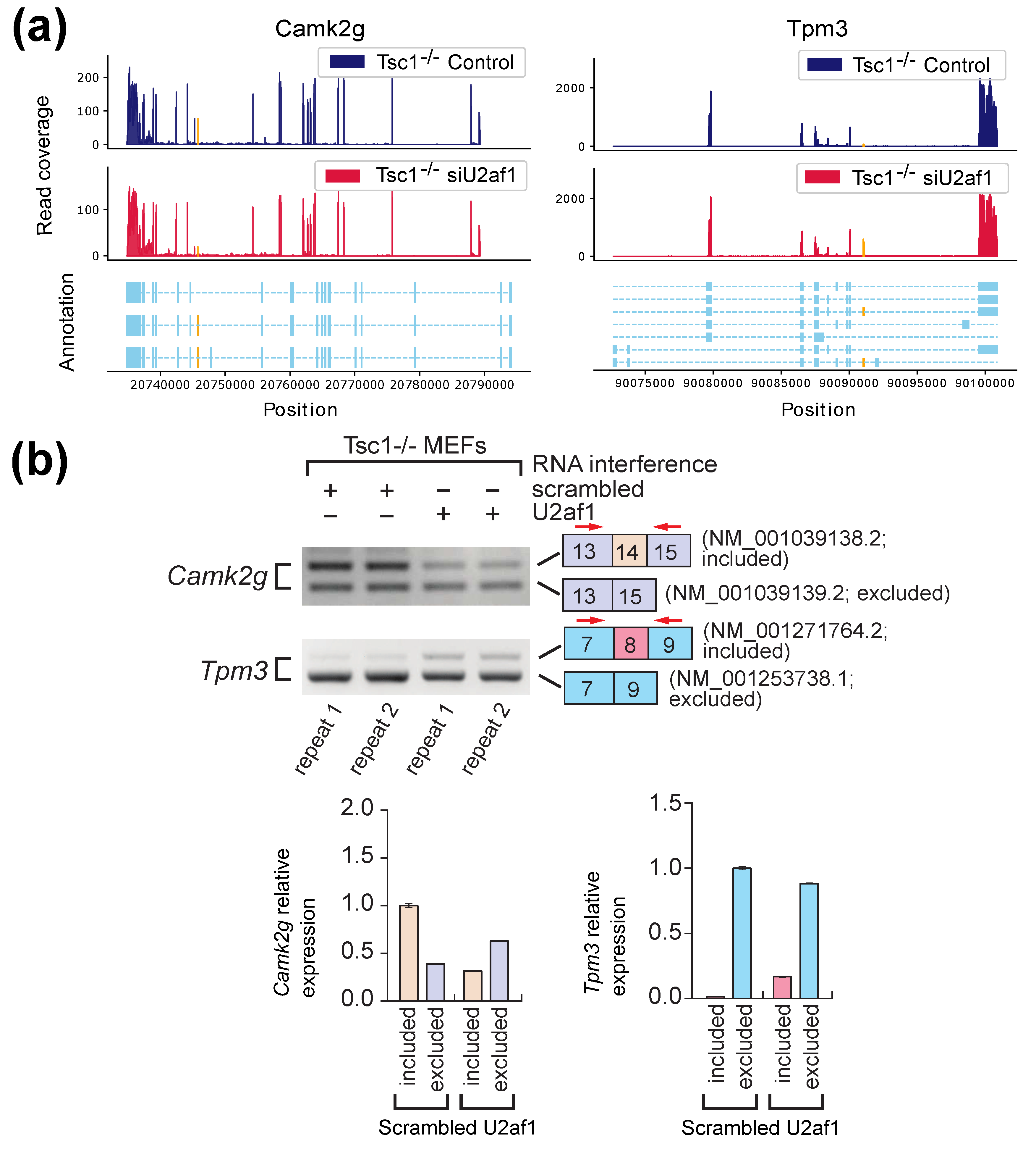Ijms 22 04468 g005 Ijms 22 04468 g005