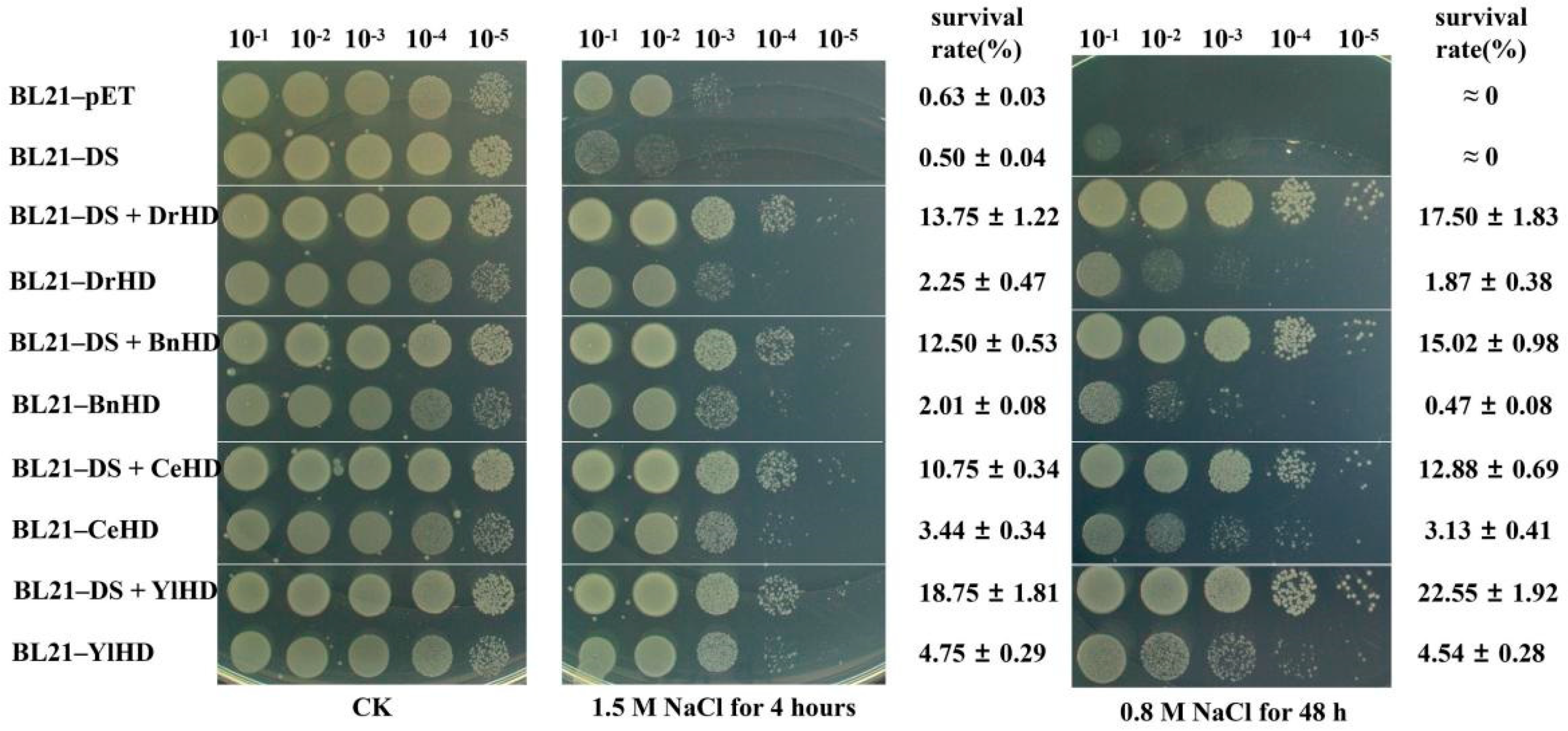 Ijms 22 04482 g002 Ijms 22 04482 g002