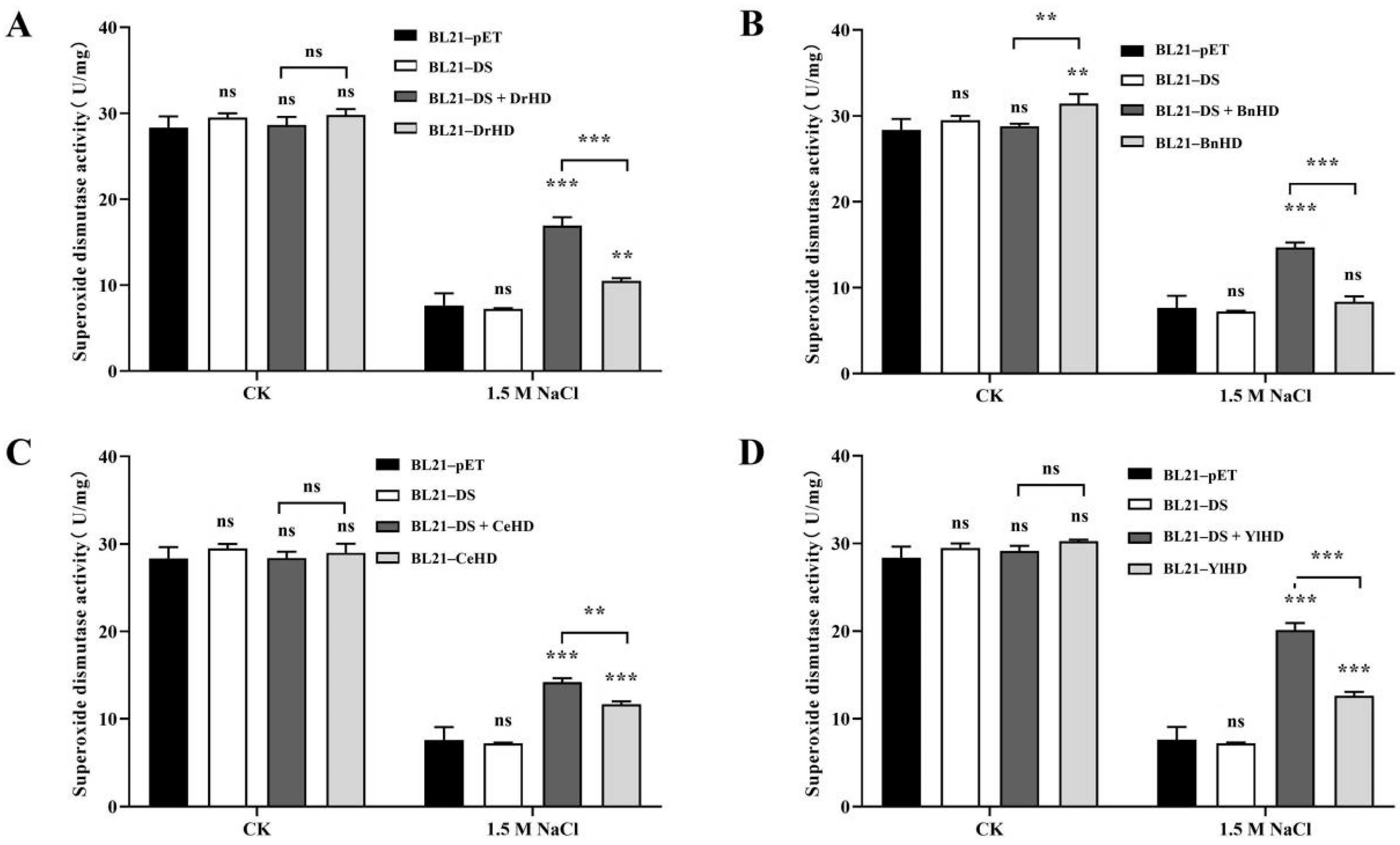 Ijms 22 04482 g004 Ijms 22 04482 g004