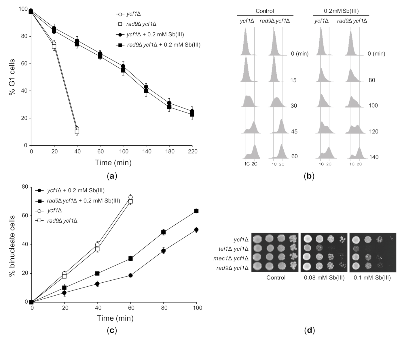 Ijms 22 04510 g005 Ijms 22 04510 g005