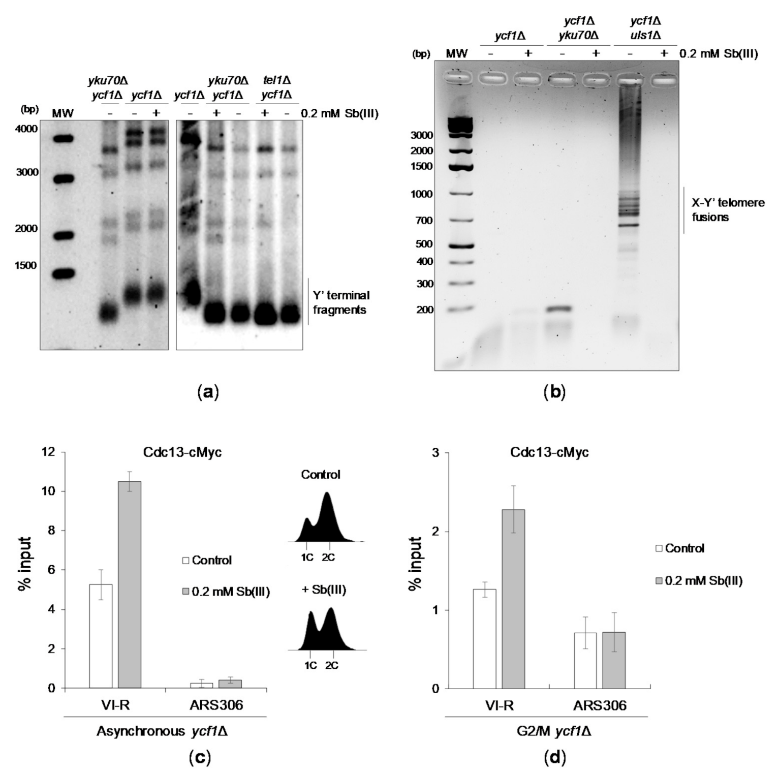 Ijms 22 04510 g008 Ijms 22 04510 g008