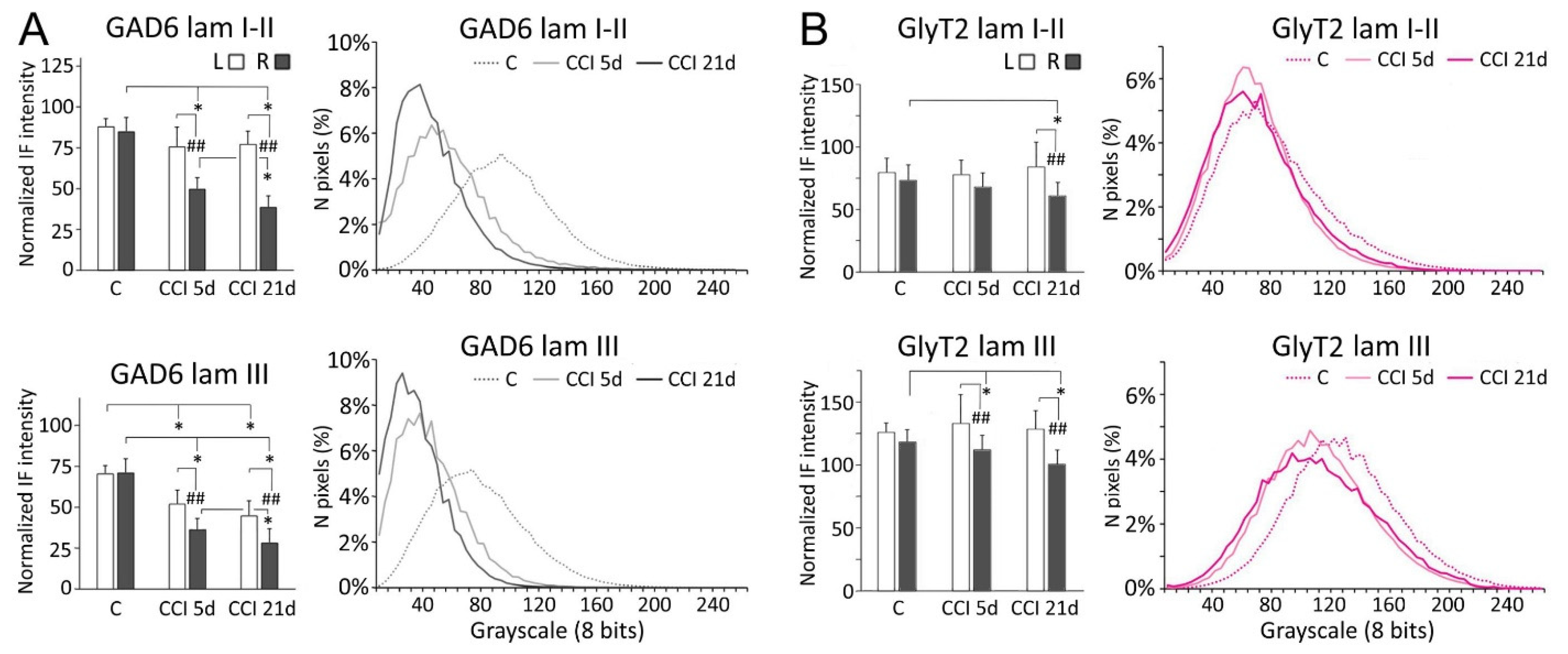 Ijms 22 04564 g003 Ijms 22 04564 g003