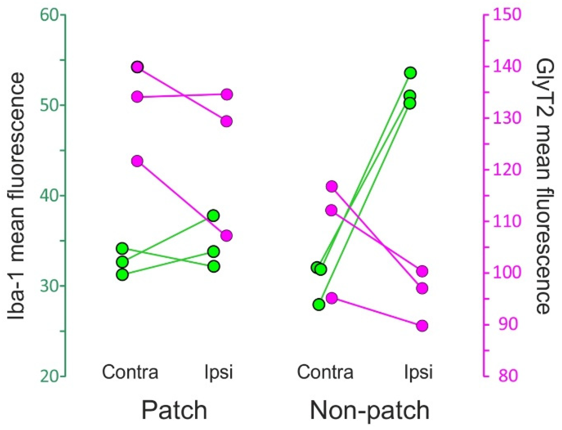 Ijms 22 04564 g008 Ijms 22 04564 g008