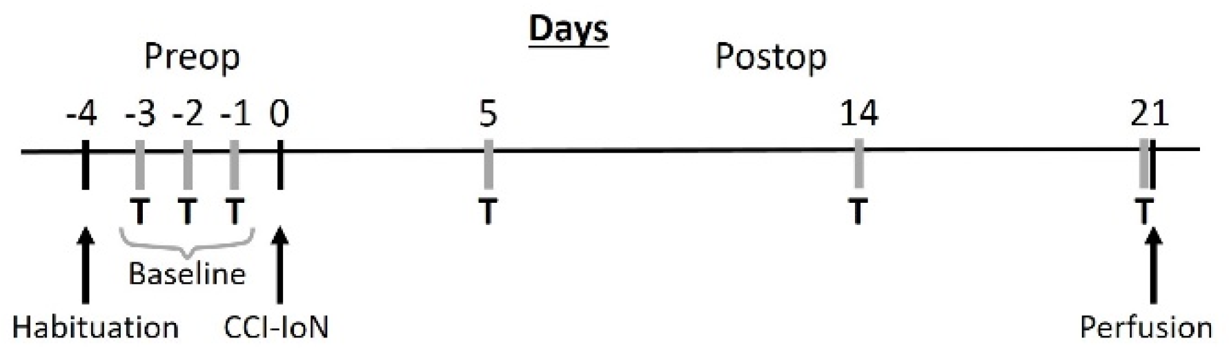 Ijms 22 04564 g009 Ijms 22 04564 g009