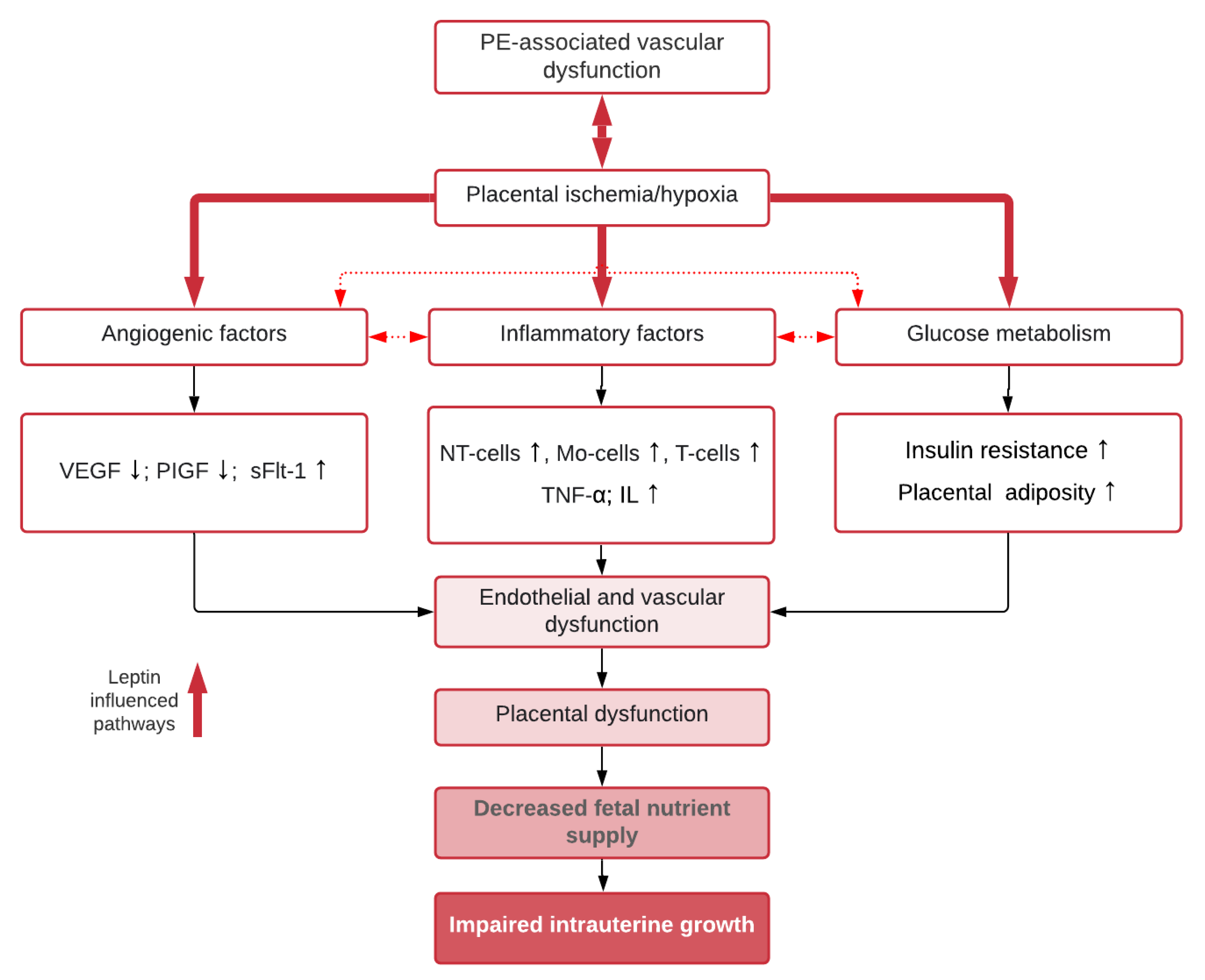 Ijms 22 04569 g002 Ijms 22 04569 g002