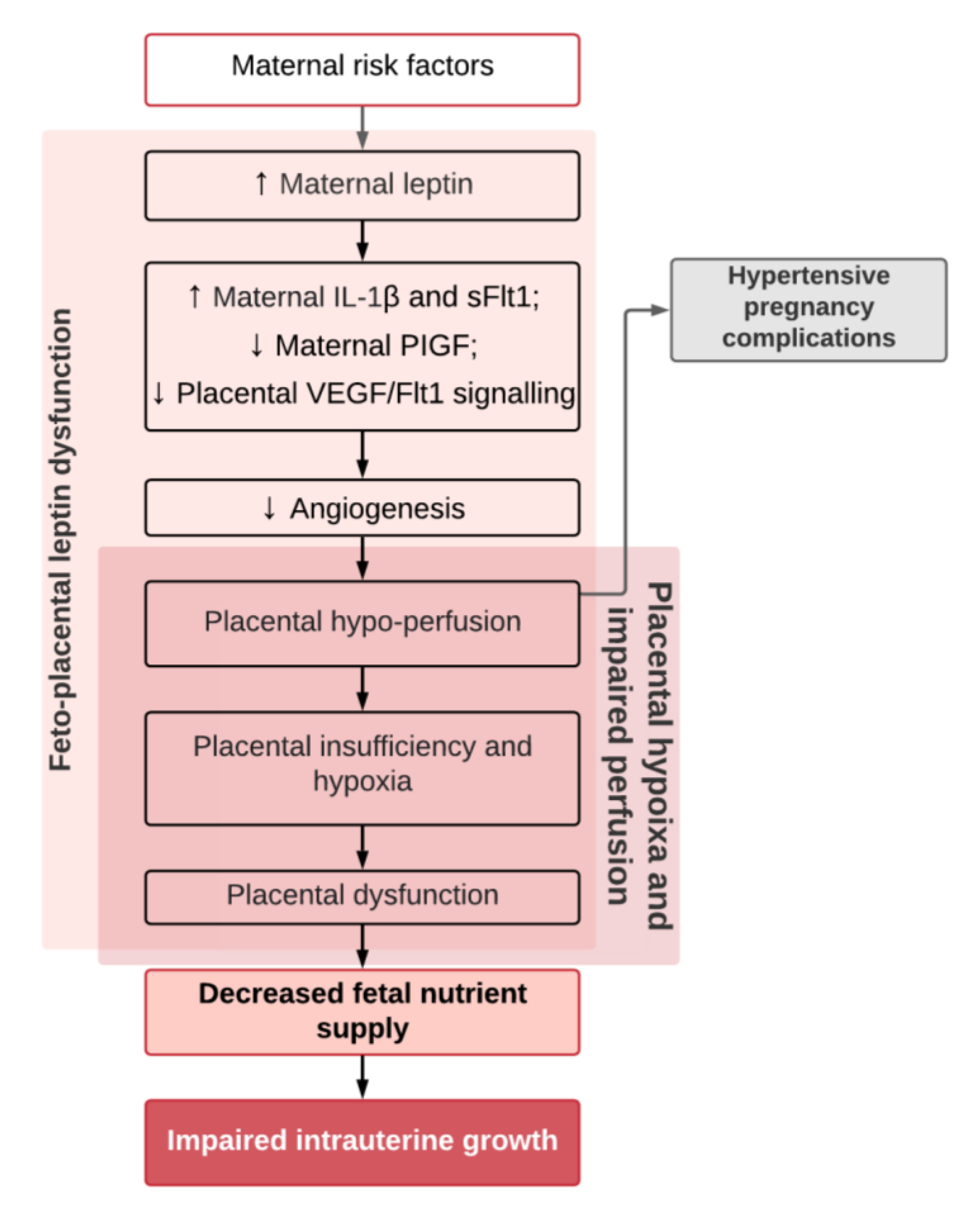 Ijms 22 04569 g003 Ijms 22 04569 g003