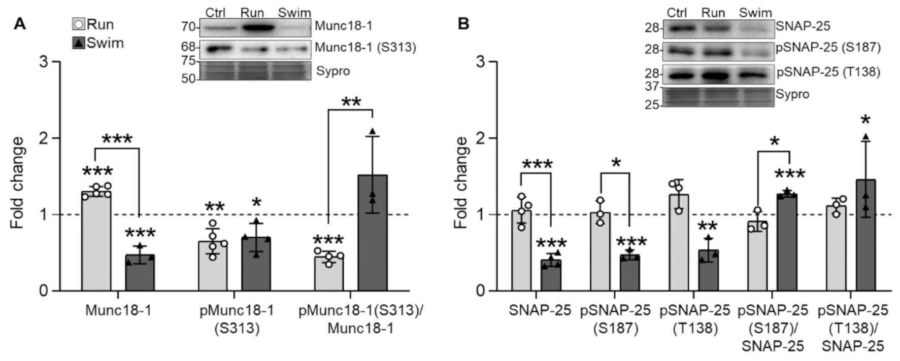 Ijms 22 04577 g004 Ijms 22 04577 g004