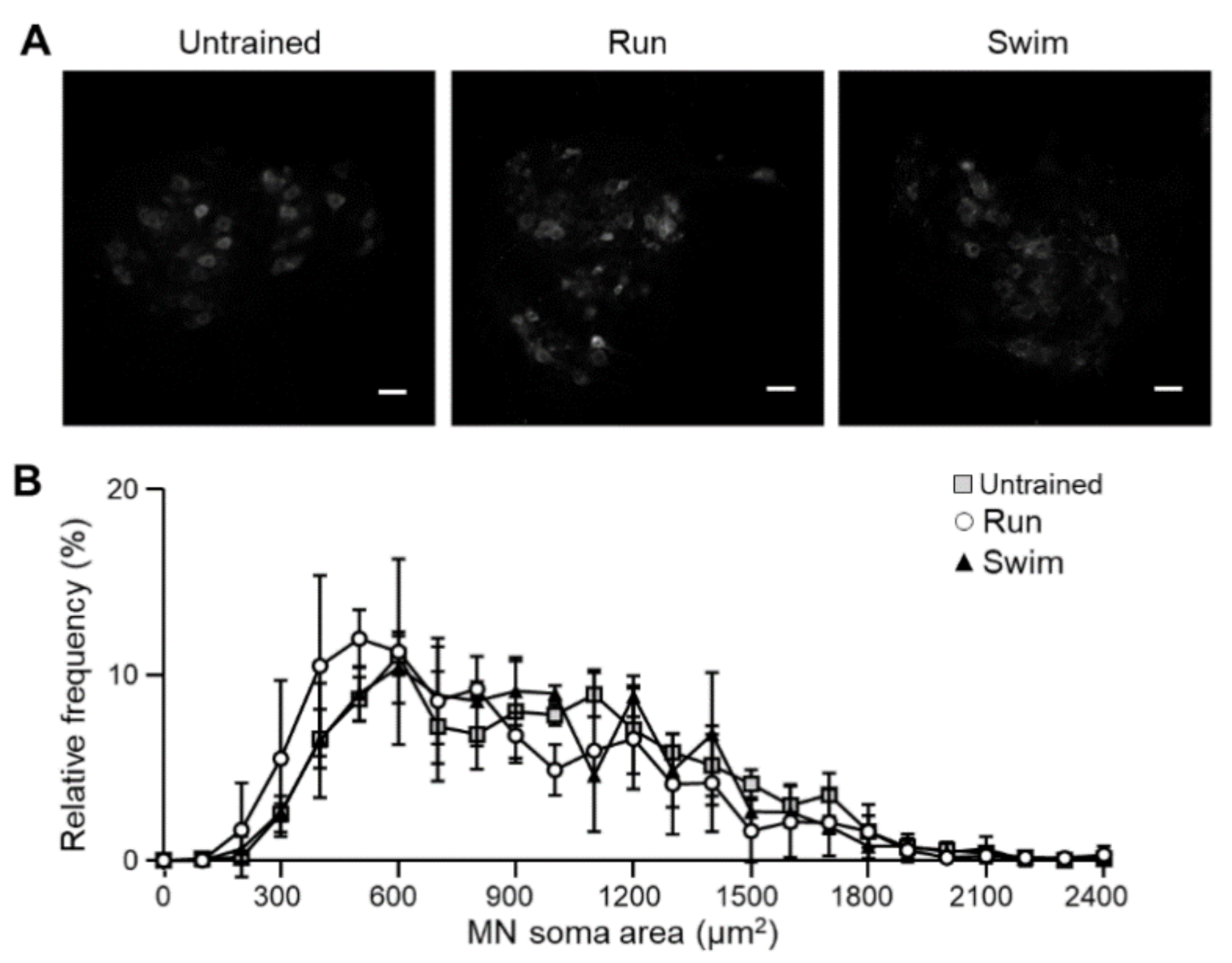 Ijms 22 04577 g005 Ijms 22 04577 g005
