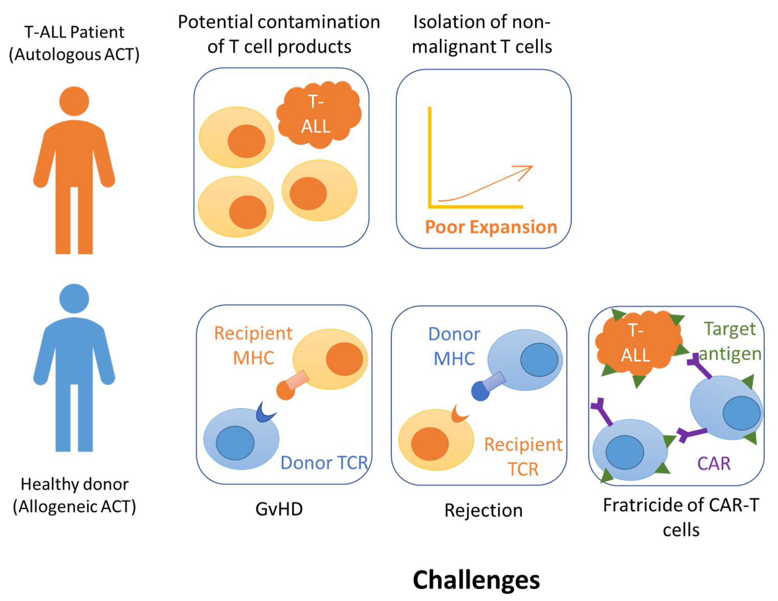 Ijms 22 04590 g001 Ijms 22 04590 g001