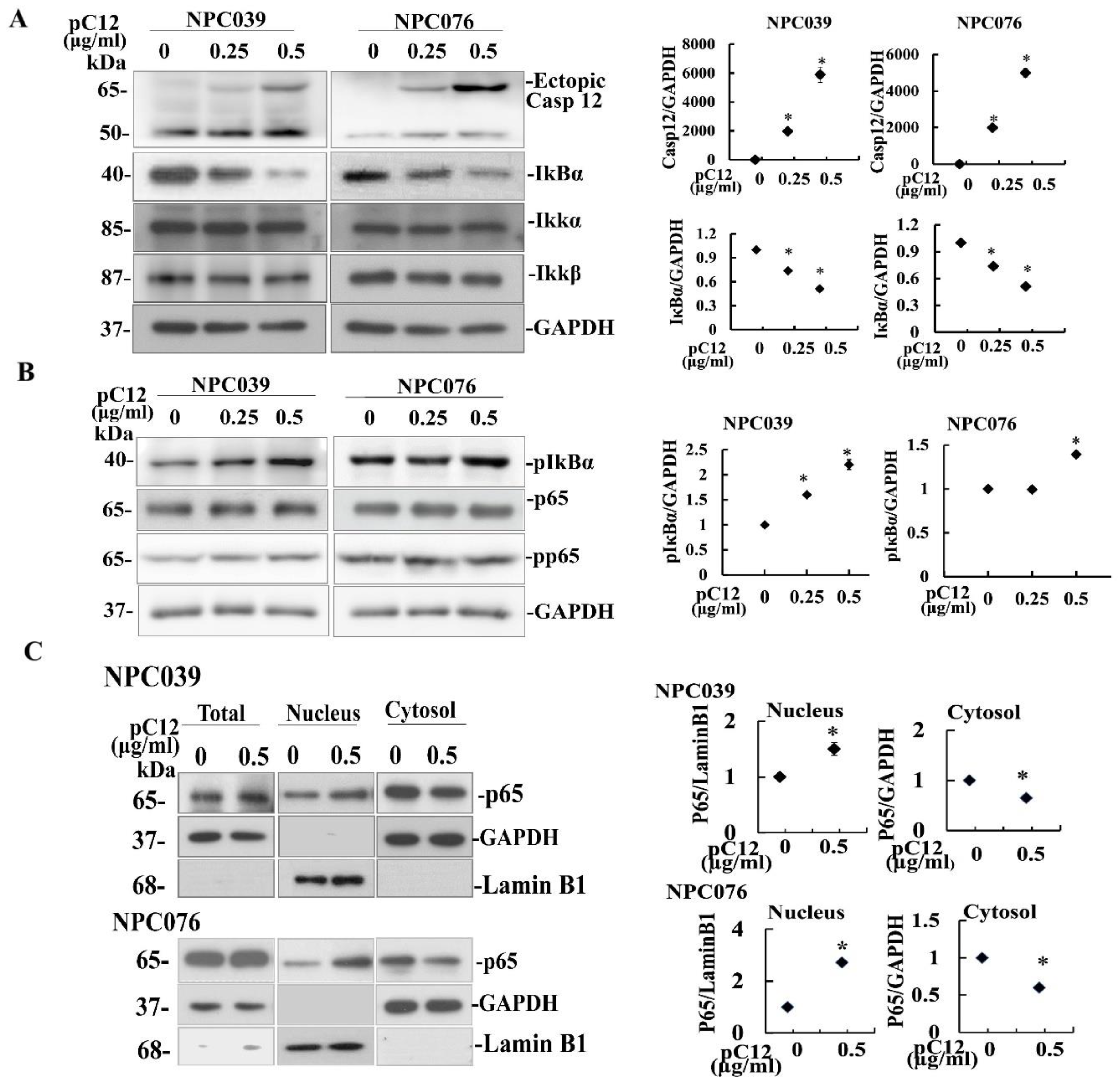 Ijms 22 04610 g001 Ijms 22 04610 g001