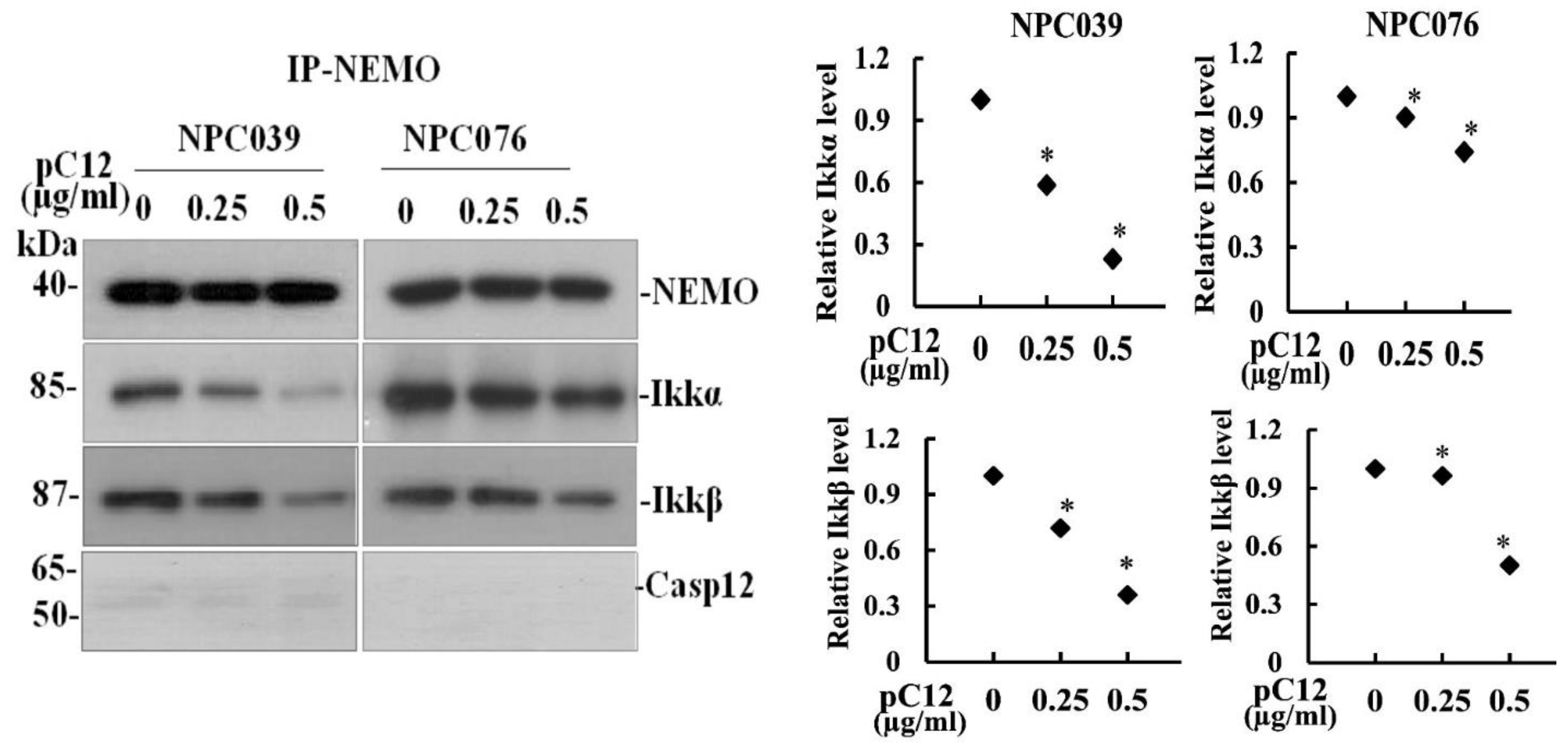 Ijms 22 04610 g004 Ijms 22 04610 g004