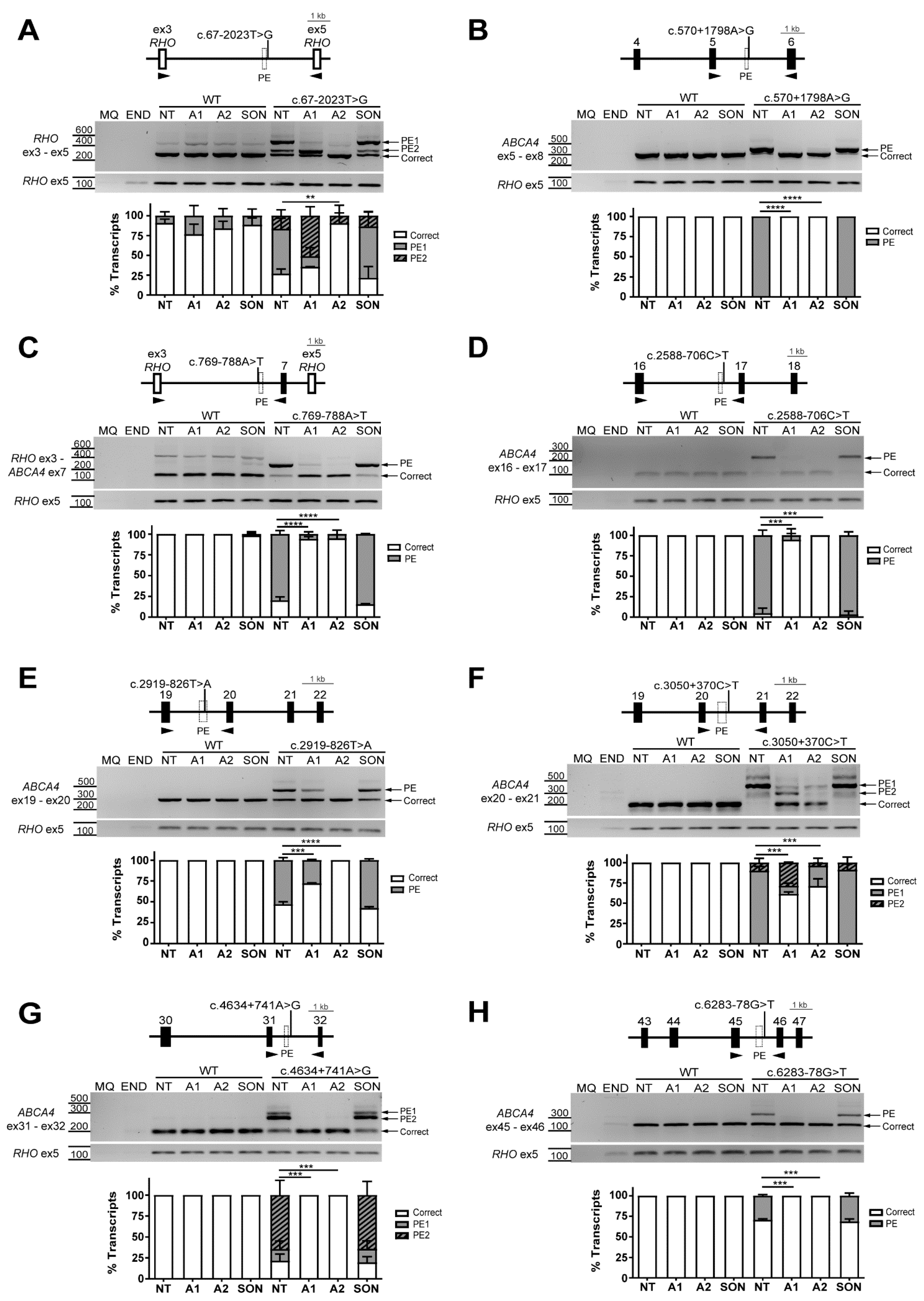 Ijms 22 04621 g003 Ijms 22 04621 g003