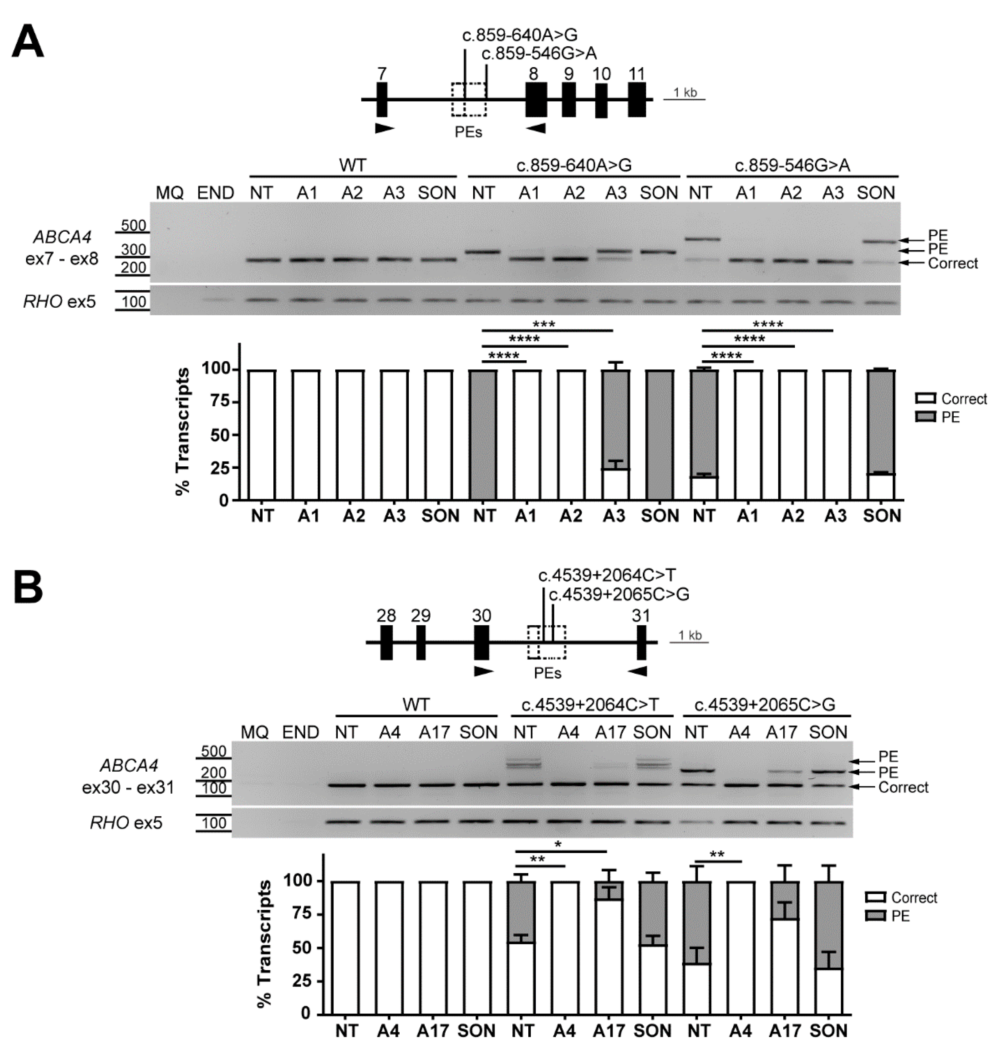Ijms 22 04621 g004 Ijms 22 04621 g004
