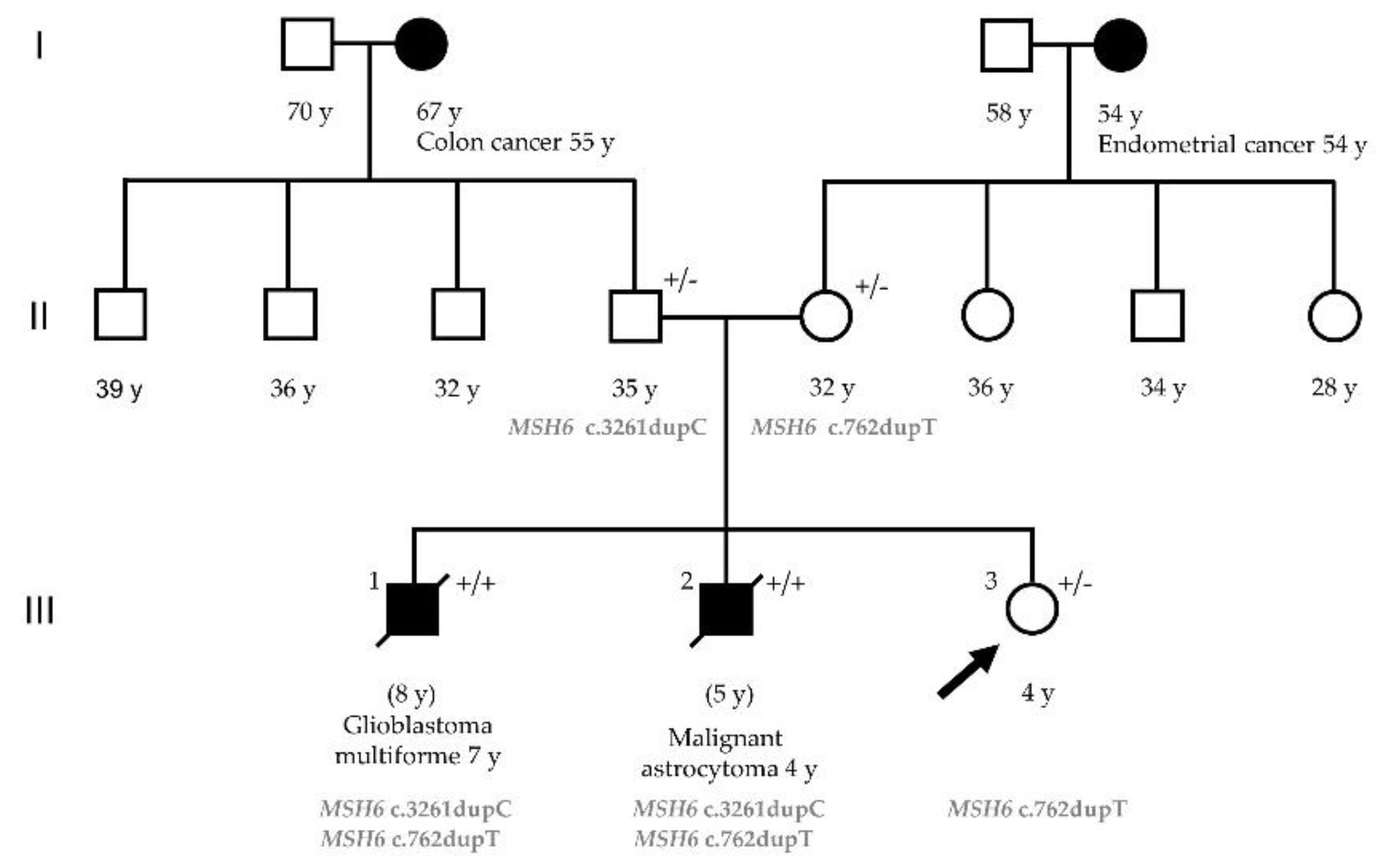 Ijms 22 04629 g001 Ijms 22 04629 g001