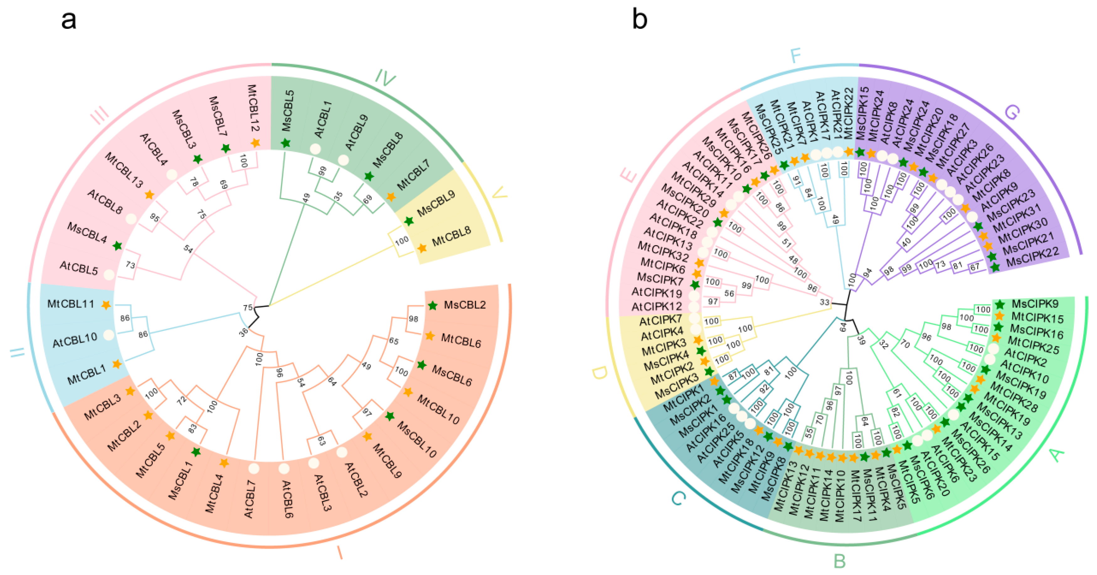 Ijms 22 04634 g001 Ijms 22 04634 g001