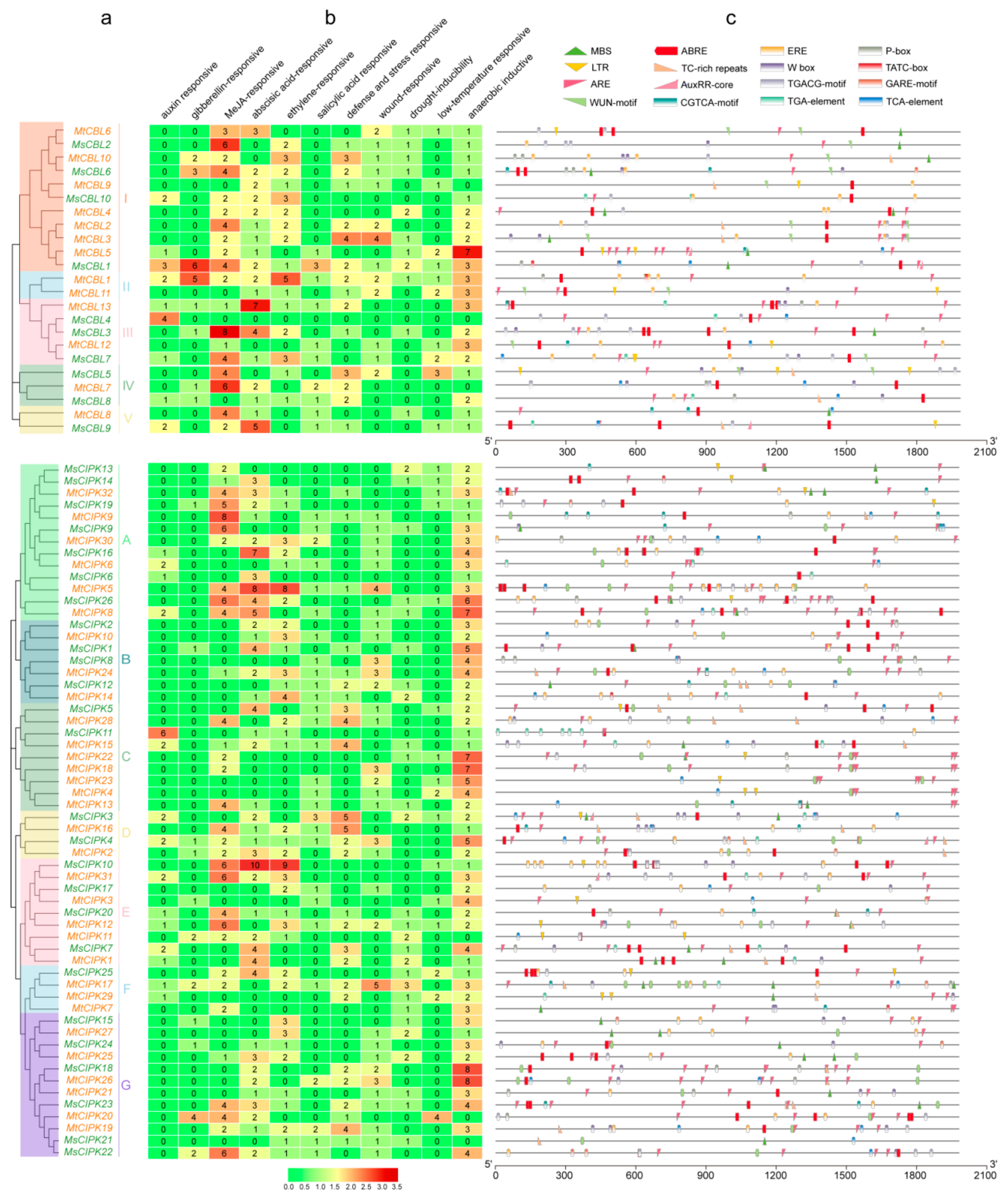 Ijms 22 04634 g004 Ijms 22 04634 g004