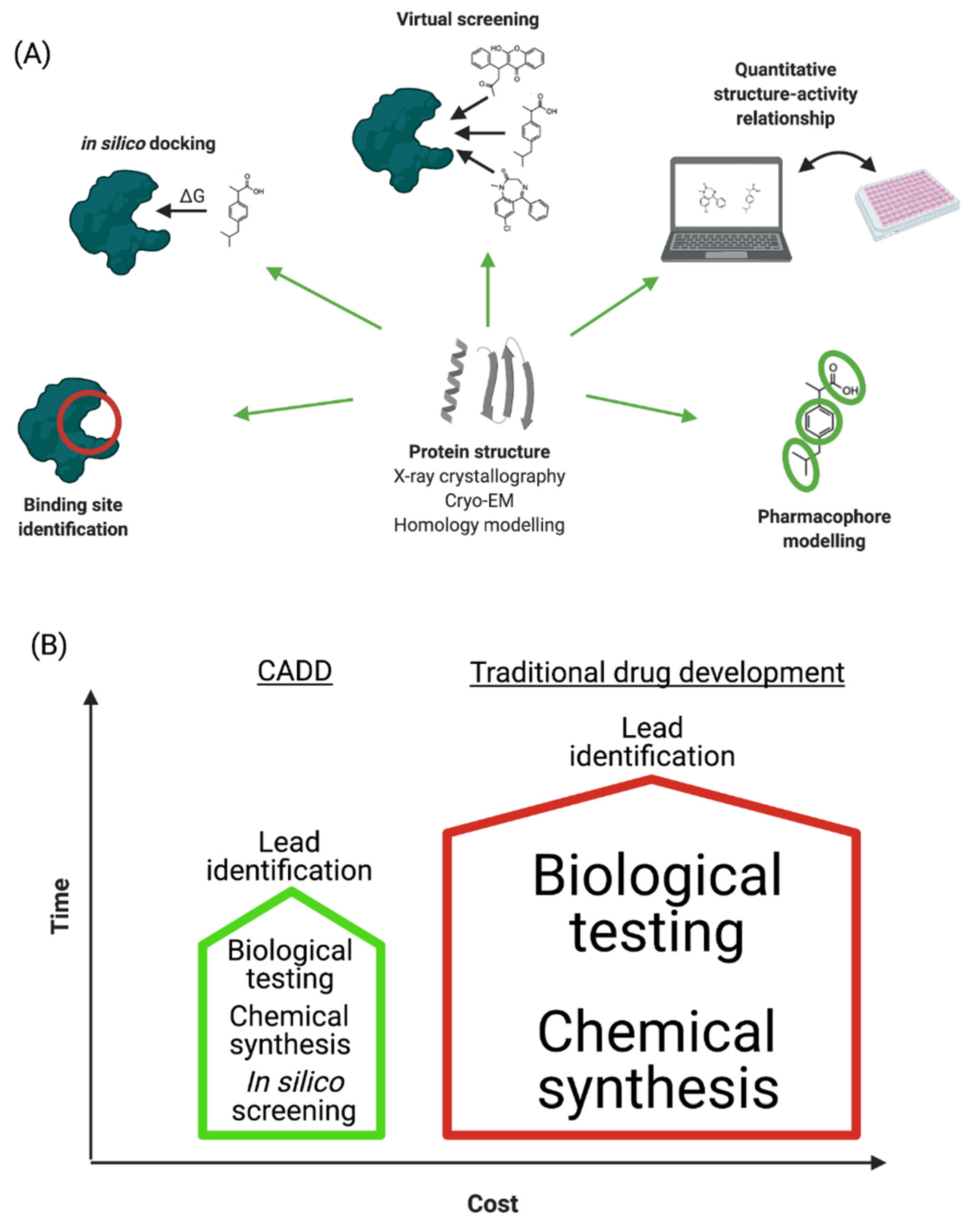 Ijms 22 04688 g001 Ijms 22 04688 g001