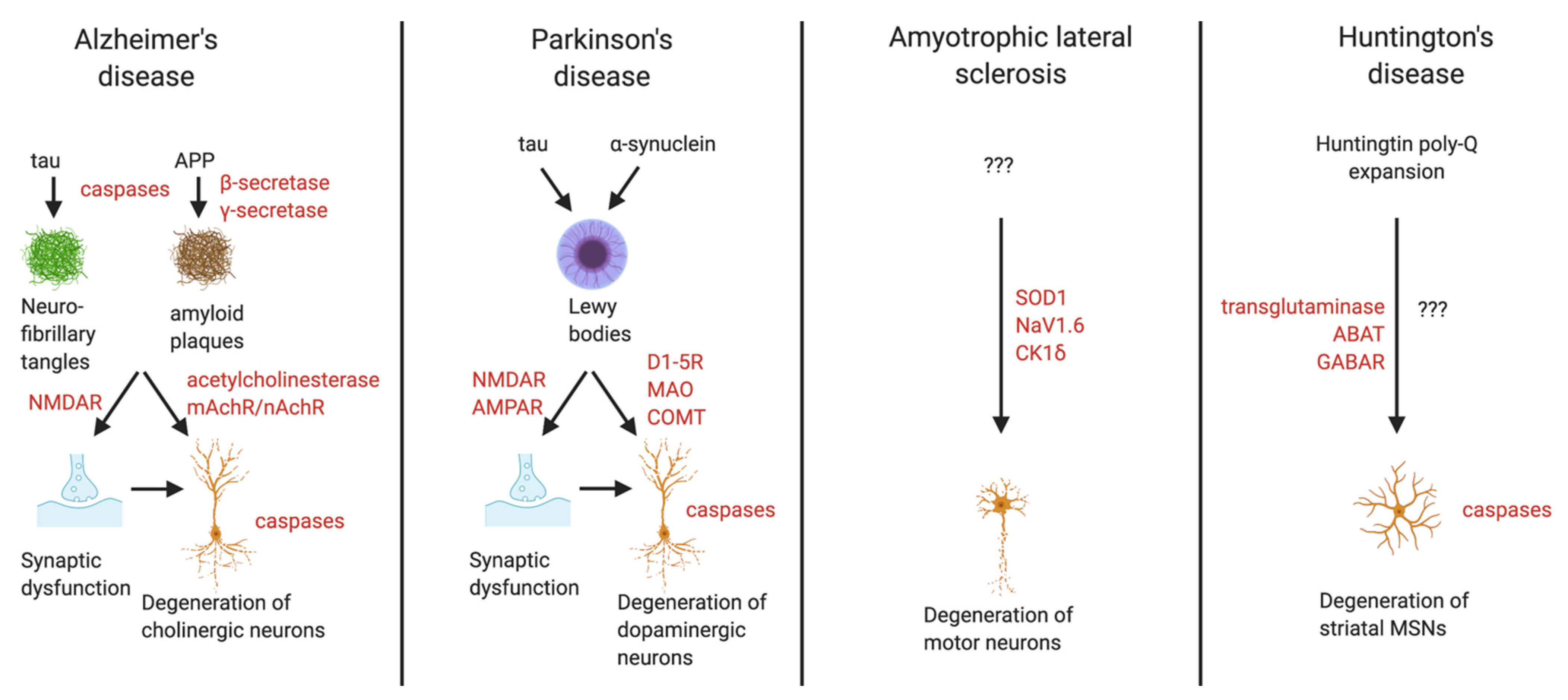 Ijms 22 04688 g002 Ijms 22 04688 g002