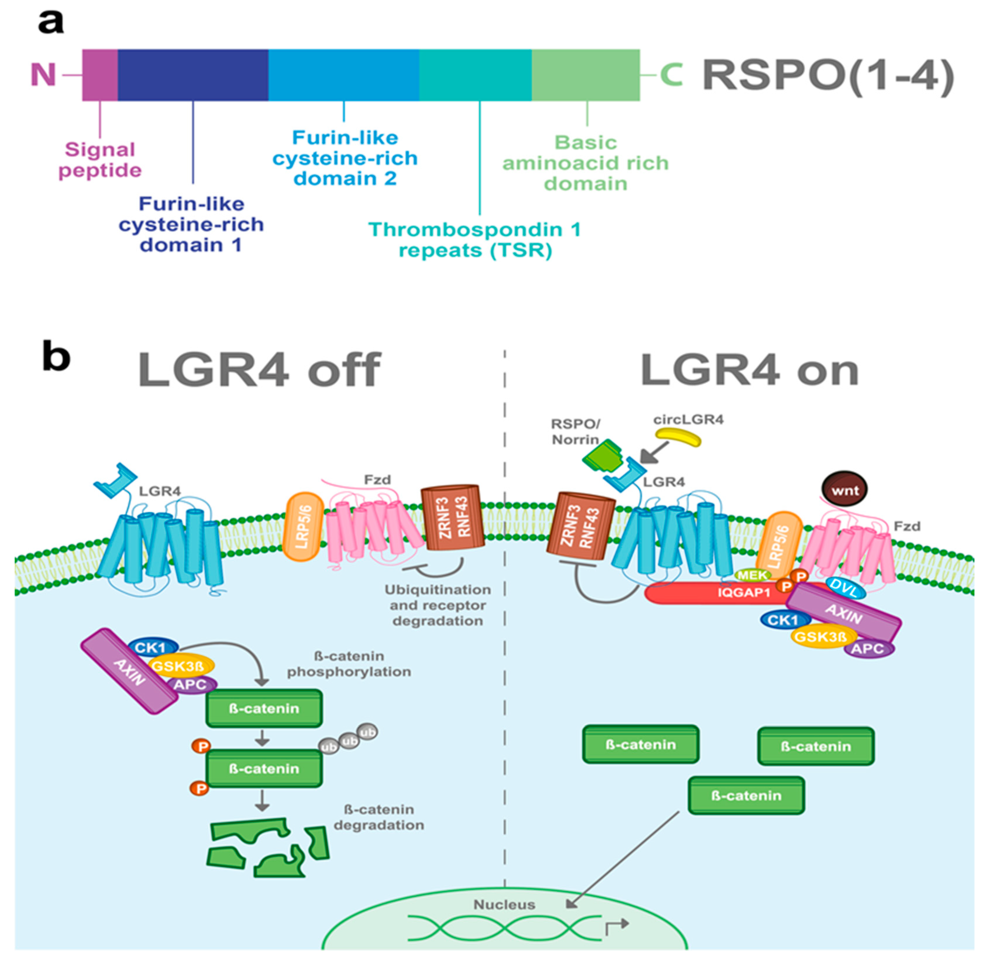 Ijms 22 04690 g002 Ijms 22 04690 g002