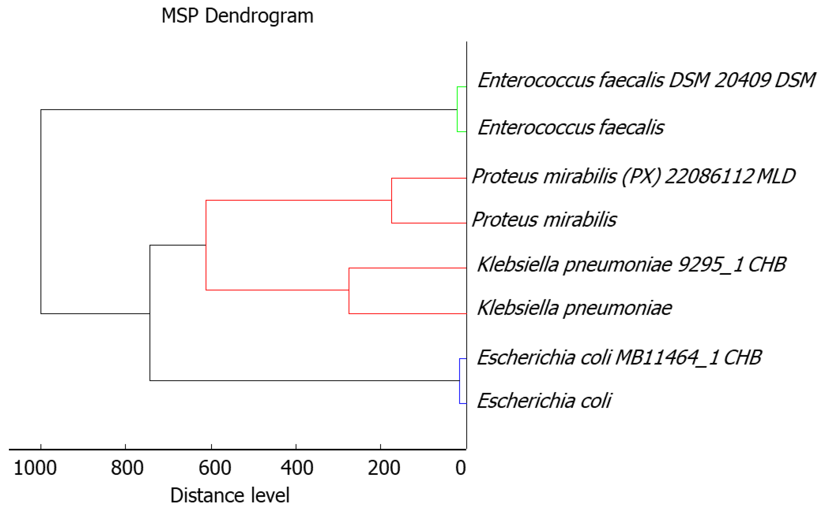 Ijms 22 04696 g001 Ijms 22 04696 g001