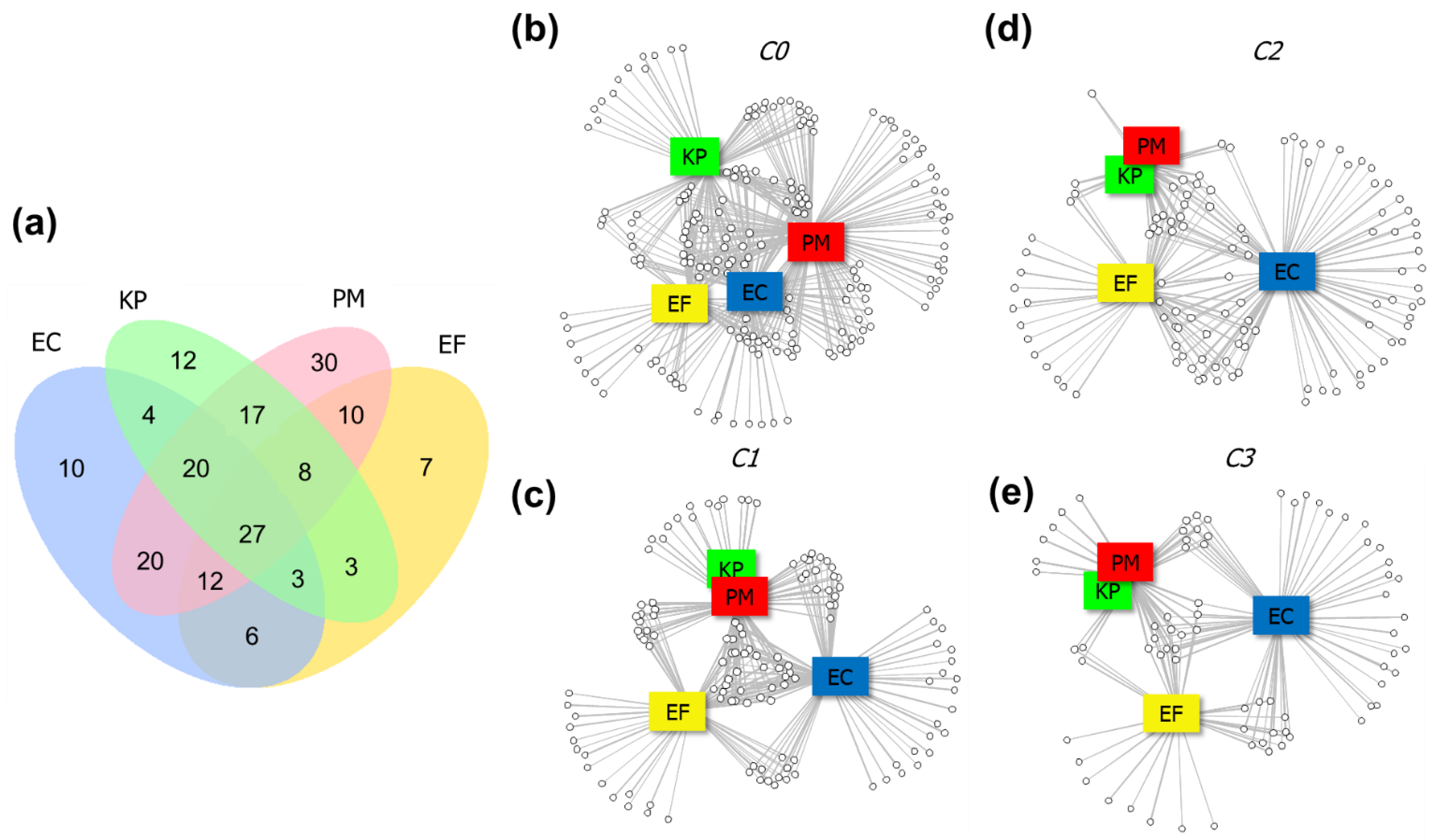 Ijms 22 04696 g004 Ijms 22 04696 g004