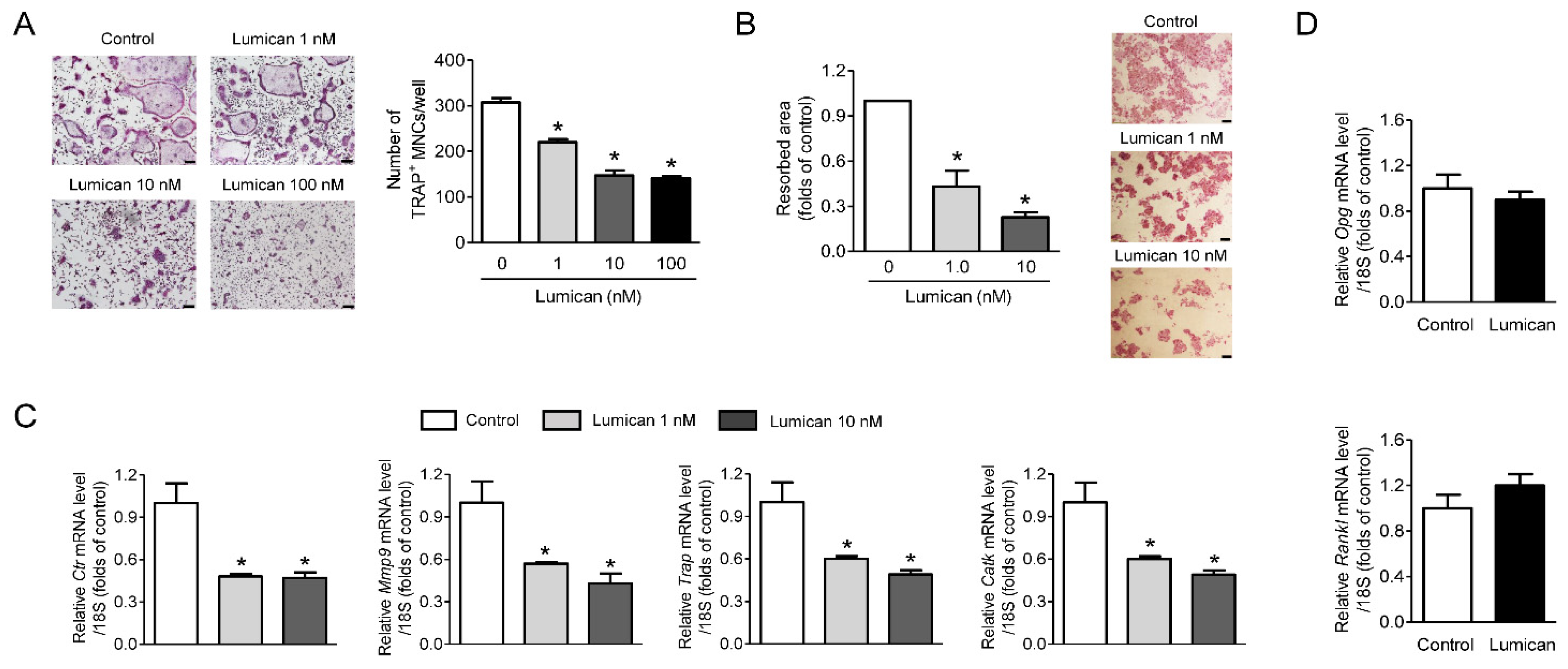 Ijms 22 04717 g001 Ijms 22 04717 g001