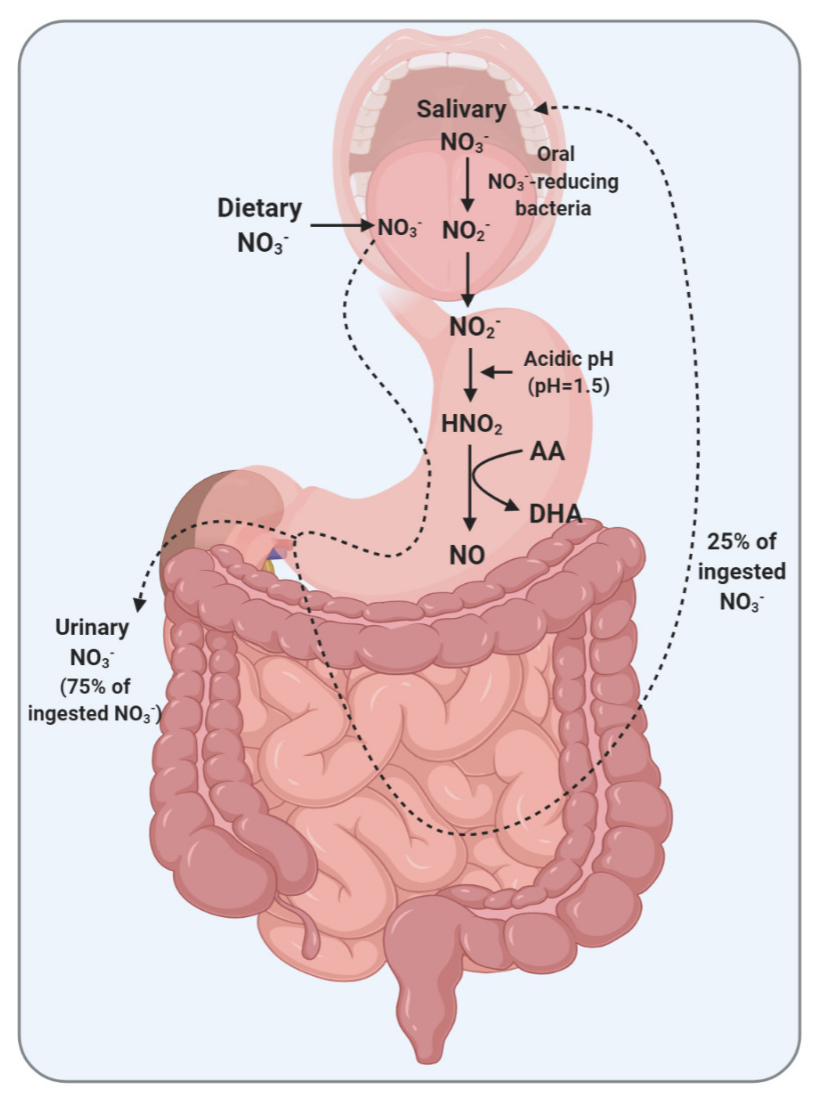 Ijms 22 04735 g001 Ijms 22 04735 g001