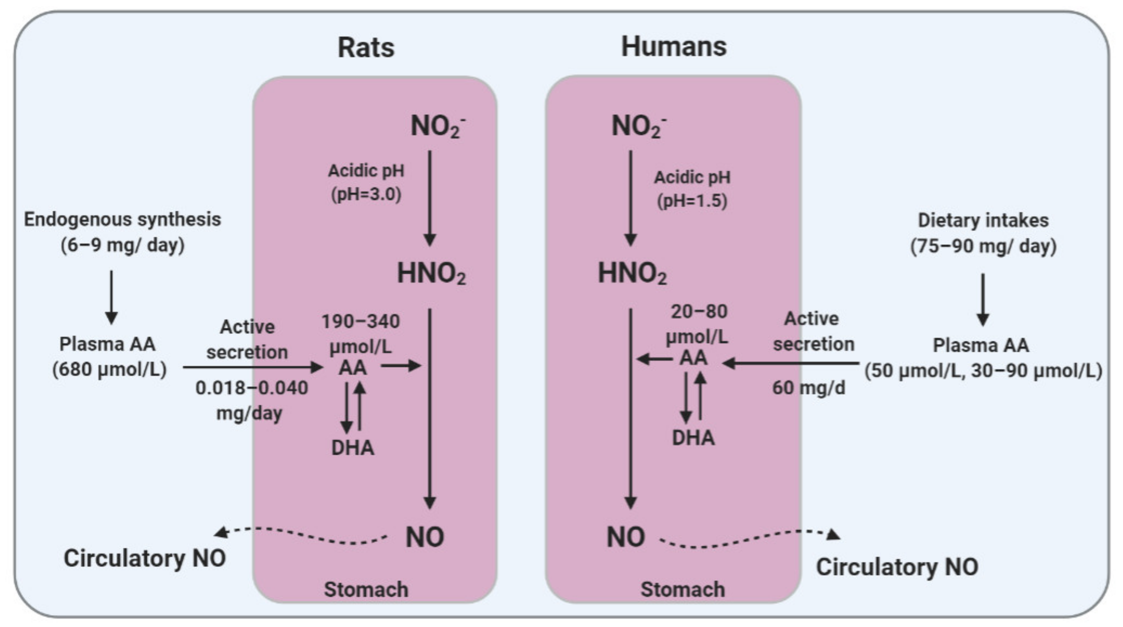 Ijms 22 04735 g002 Ijms 22 04735 g002