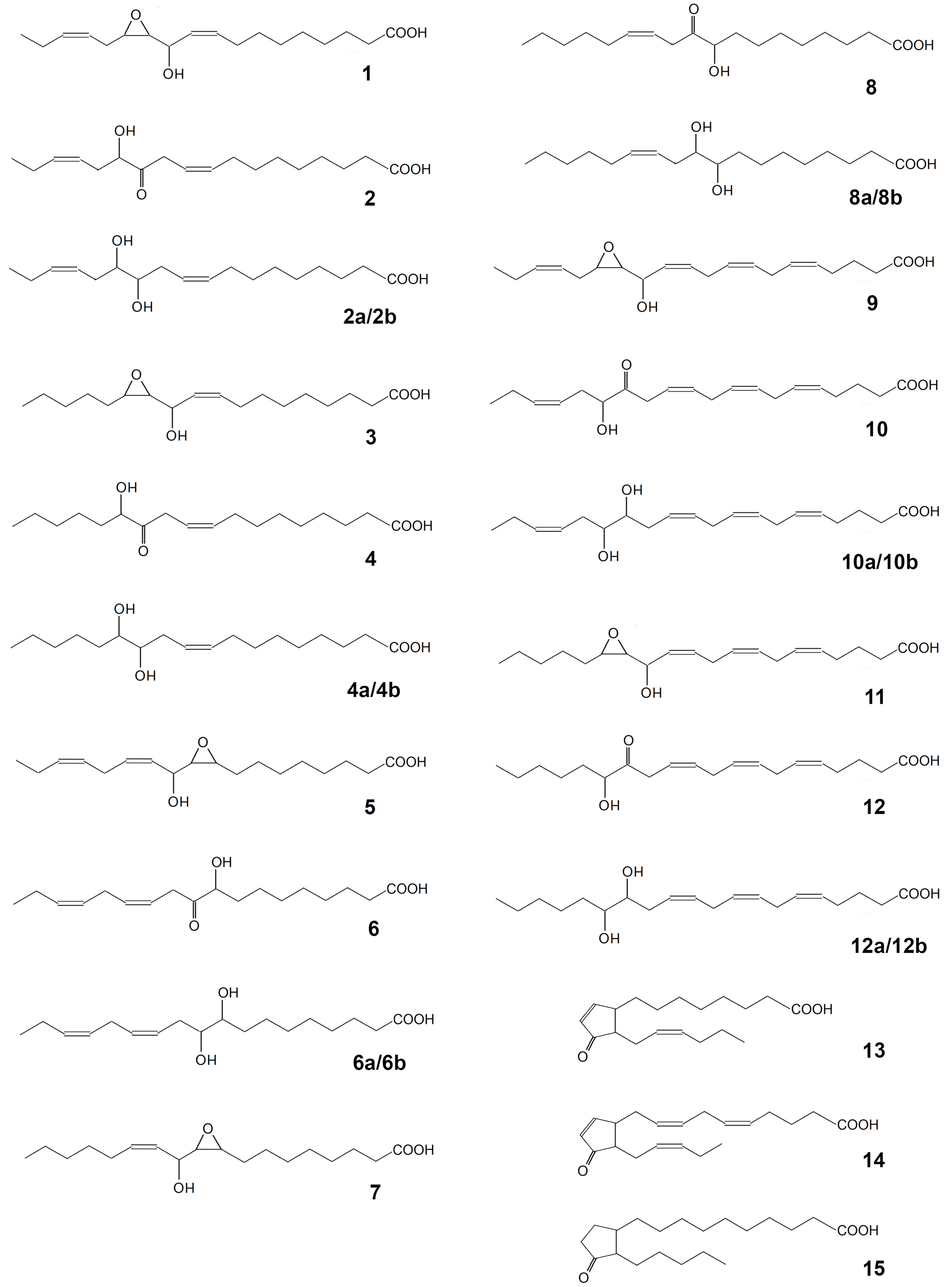 Ijms 22 04737 g004 Ijms 22 04737 g004