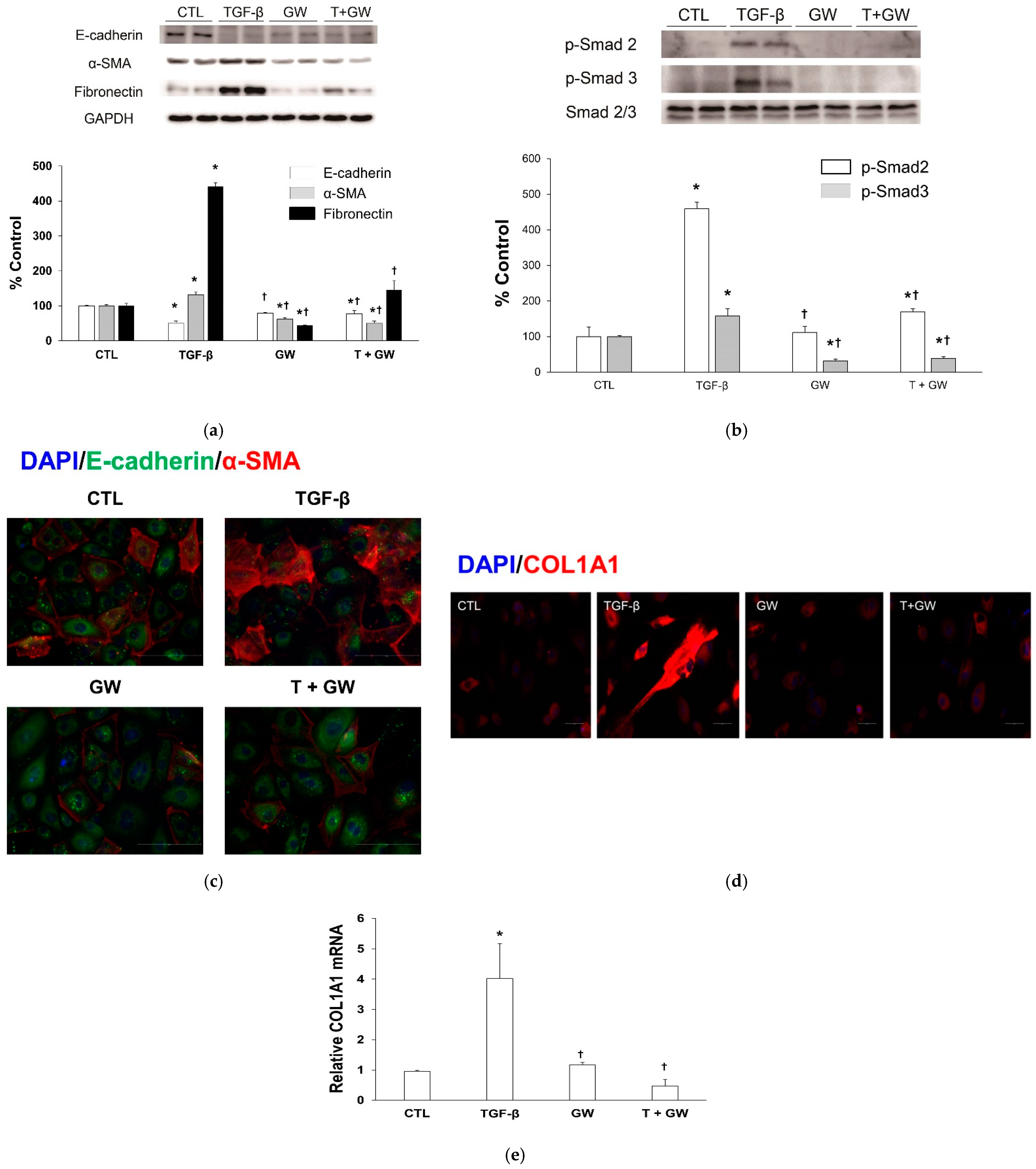Ijms 22 04739 g003 Ijms 22 04739 g003