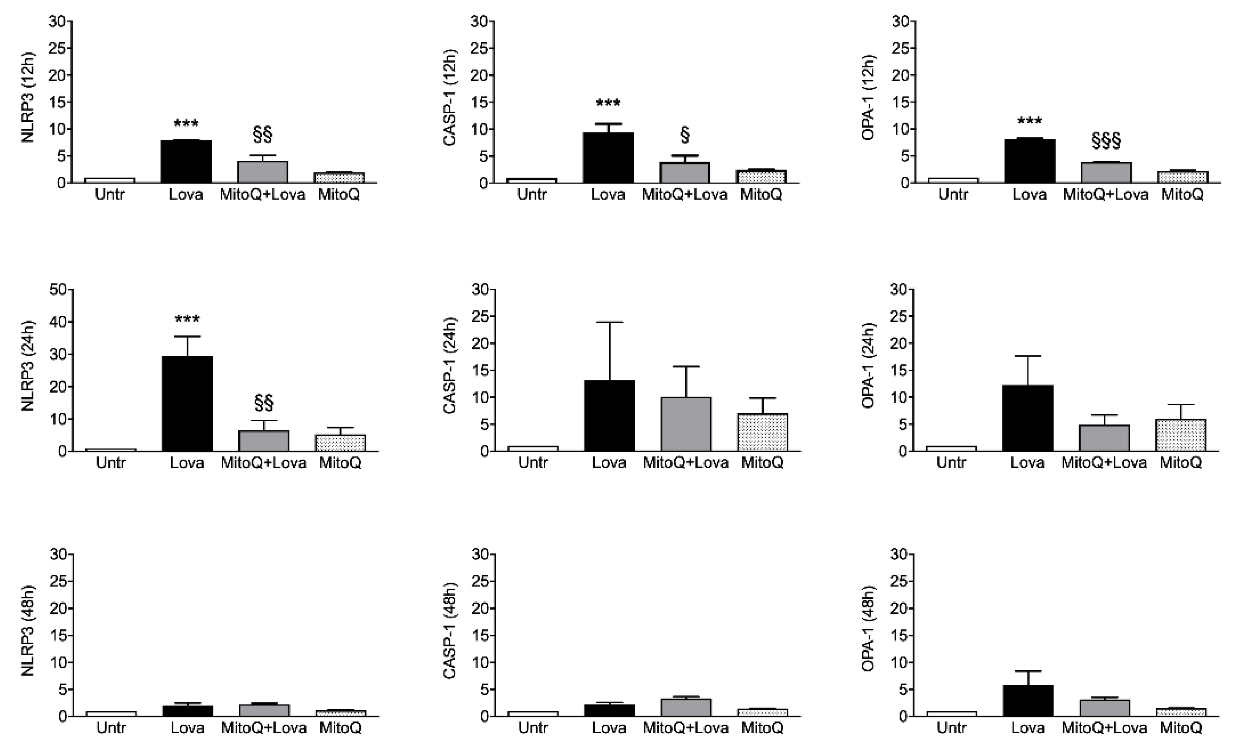 Ijms 22 04753 g003 Ijms 22 04753 g003