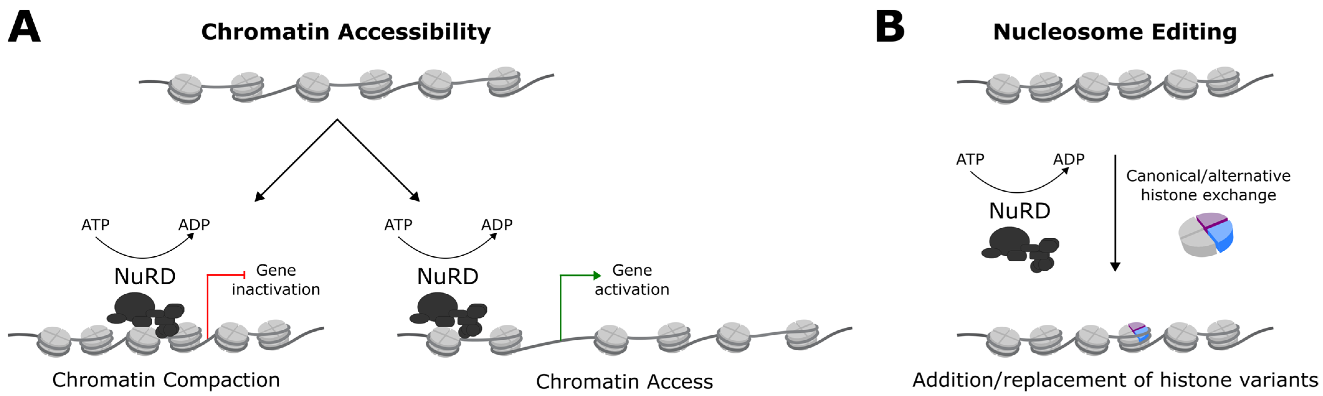 Ijms 22 04768 g001 Ijms 22 04768 g001