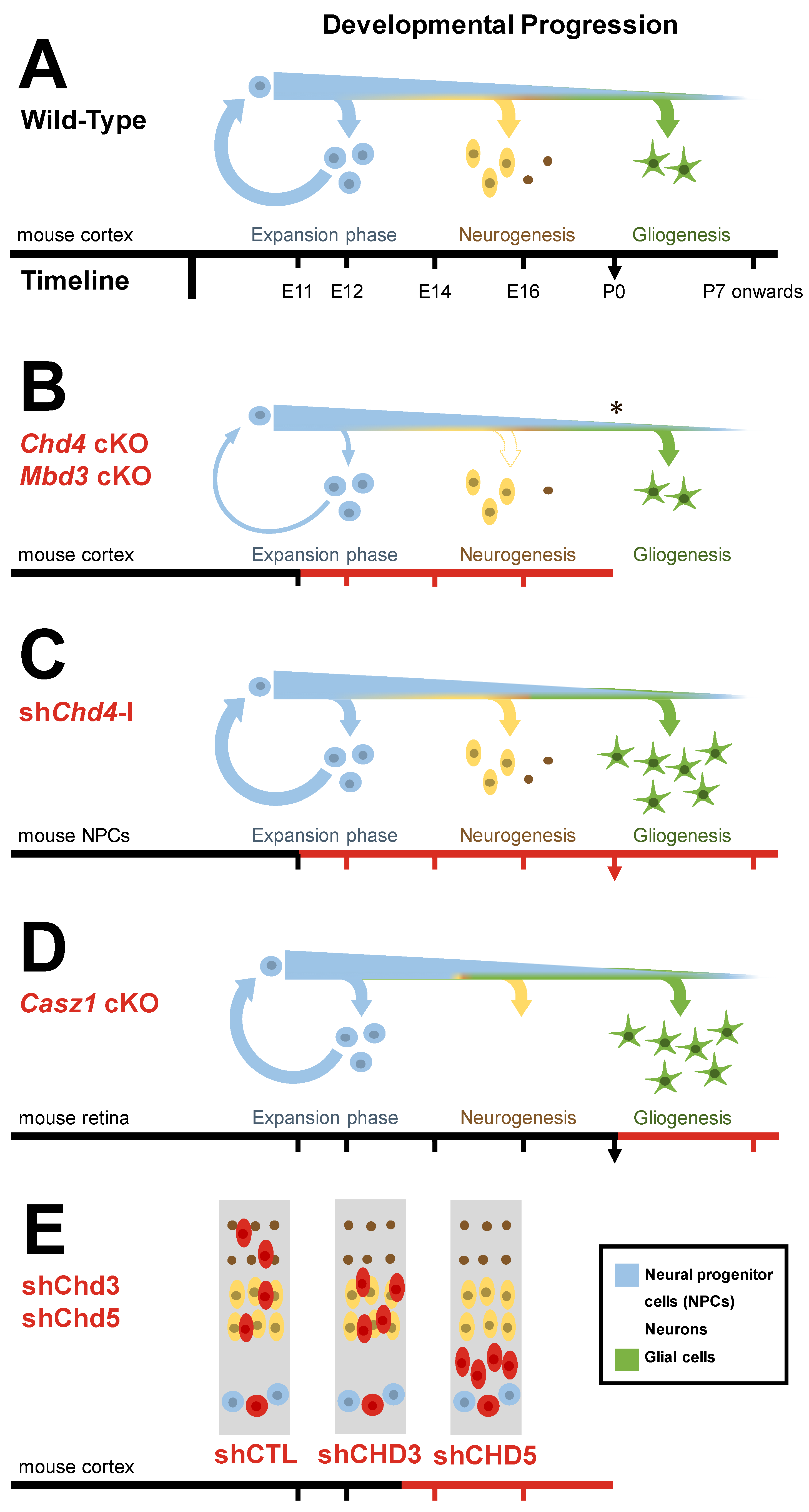 Ijms 22 04768 g004 Ijms 22 04768 g004