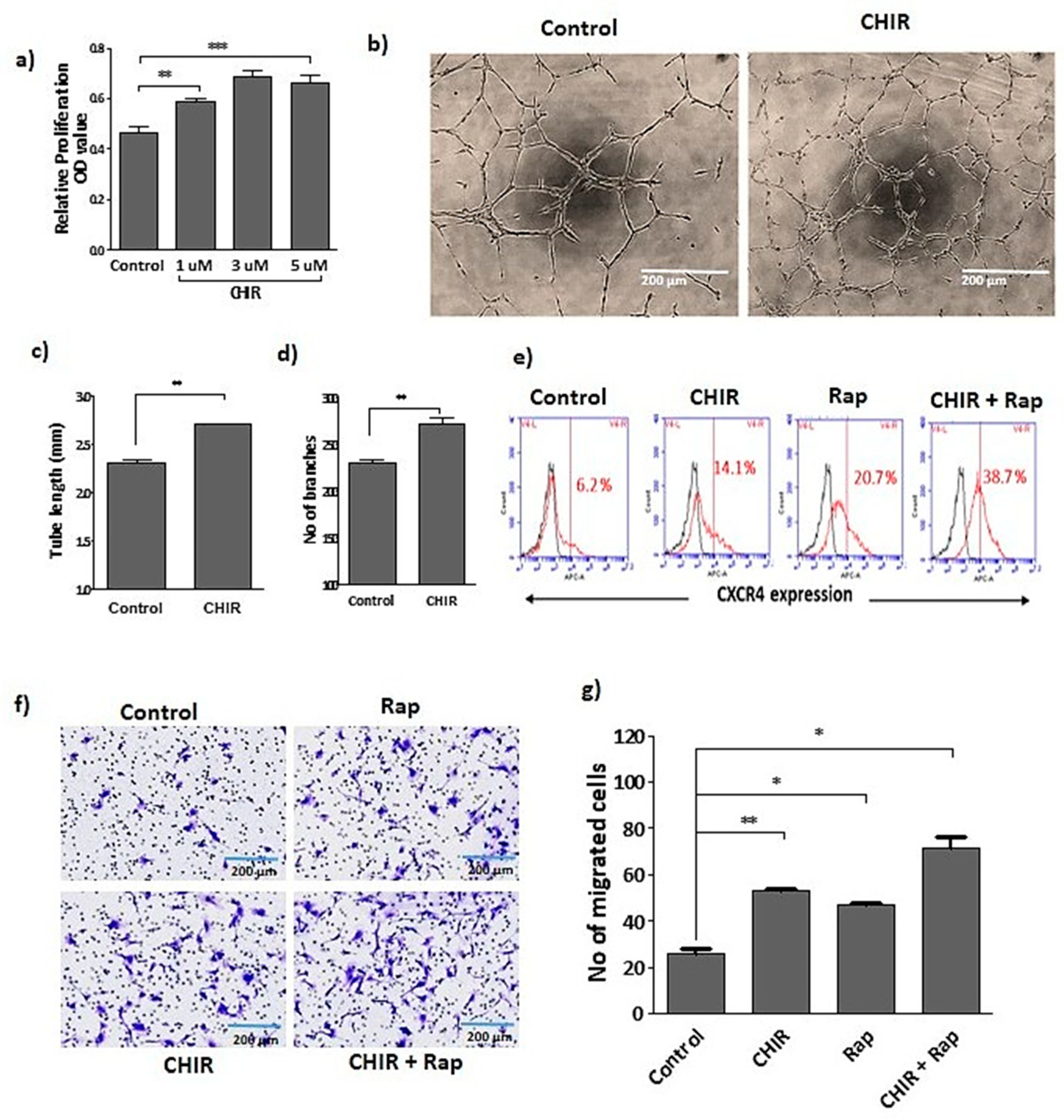 Ijms 22 04796 g001 Ijms 22 04796 g001