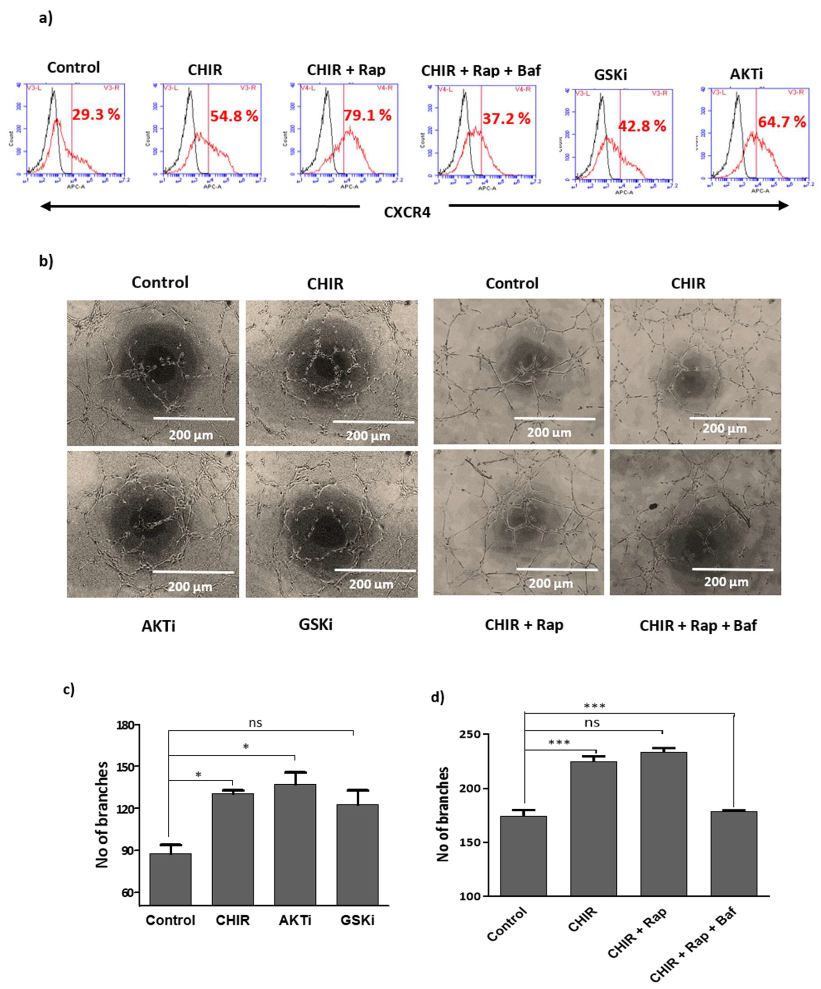 Ijms 22 04796 g004 Ijms 22 04796 g004