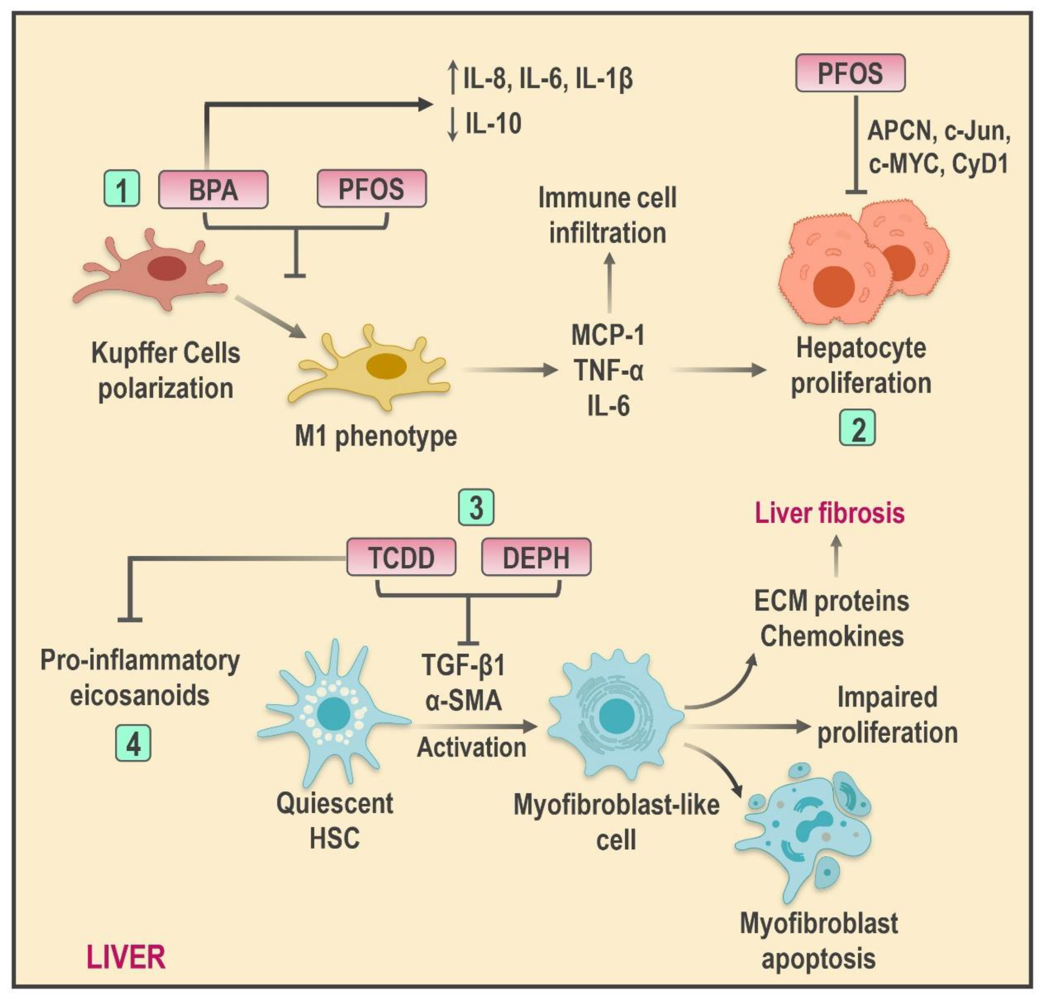Ijms 22 04807 g002 Ijms 22 04807 g002