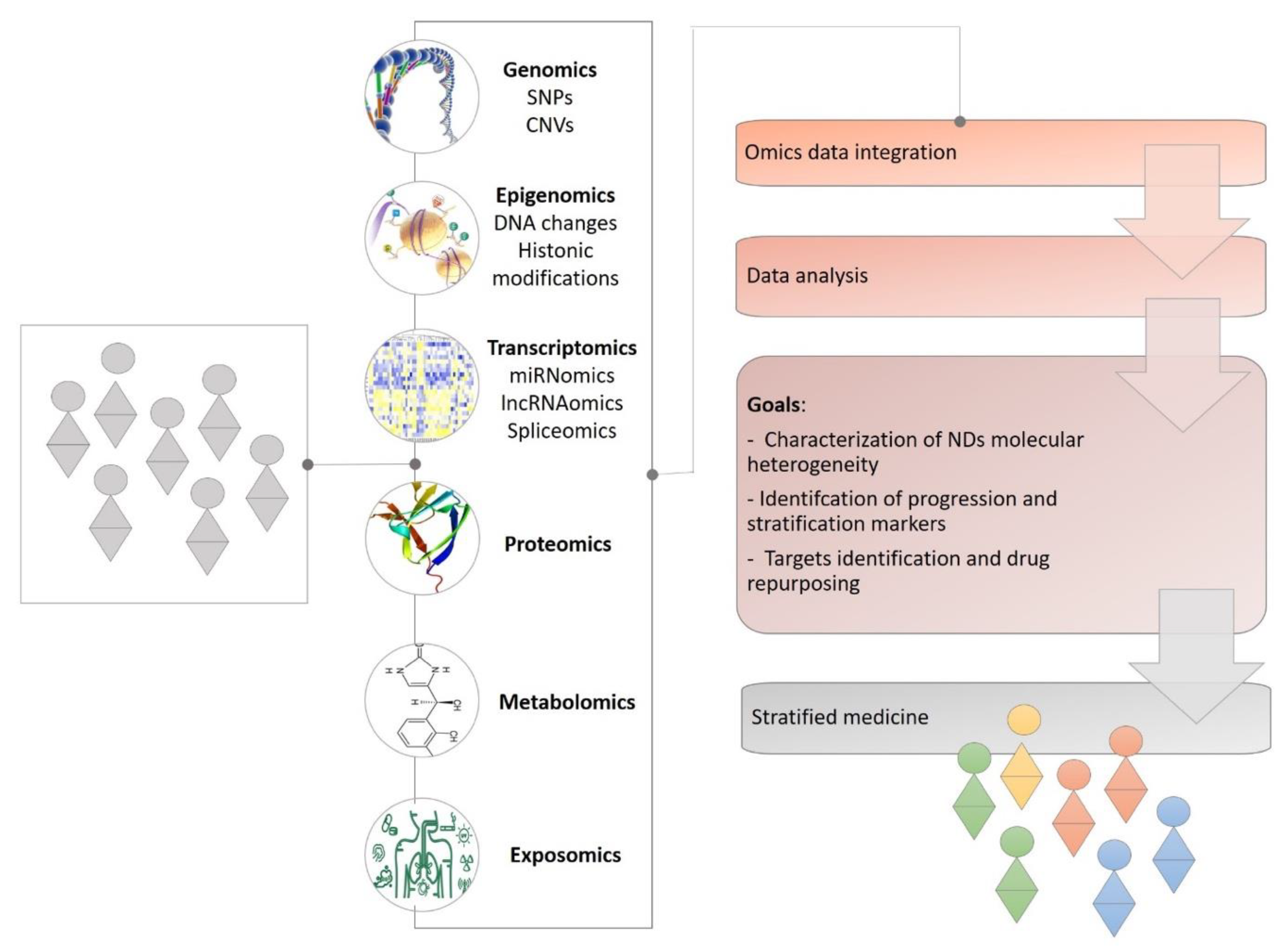Ijms 22 04820 g001 Ijms 22 04820 g001