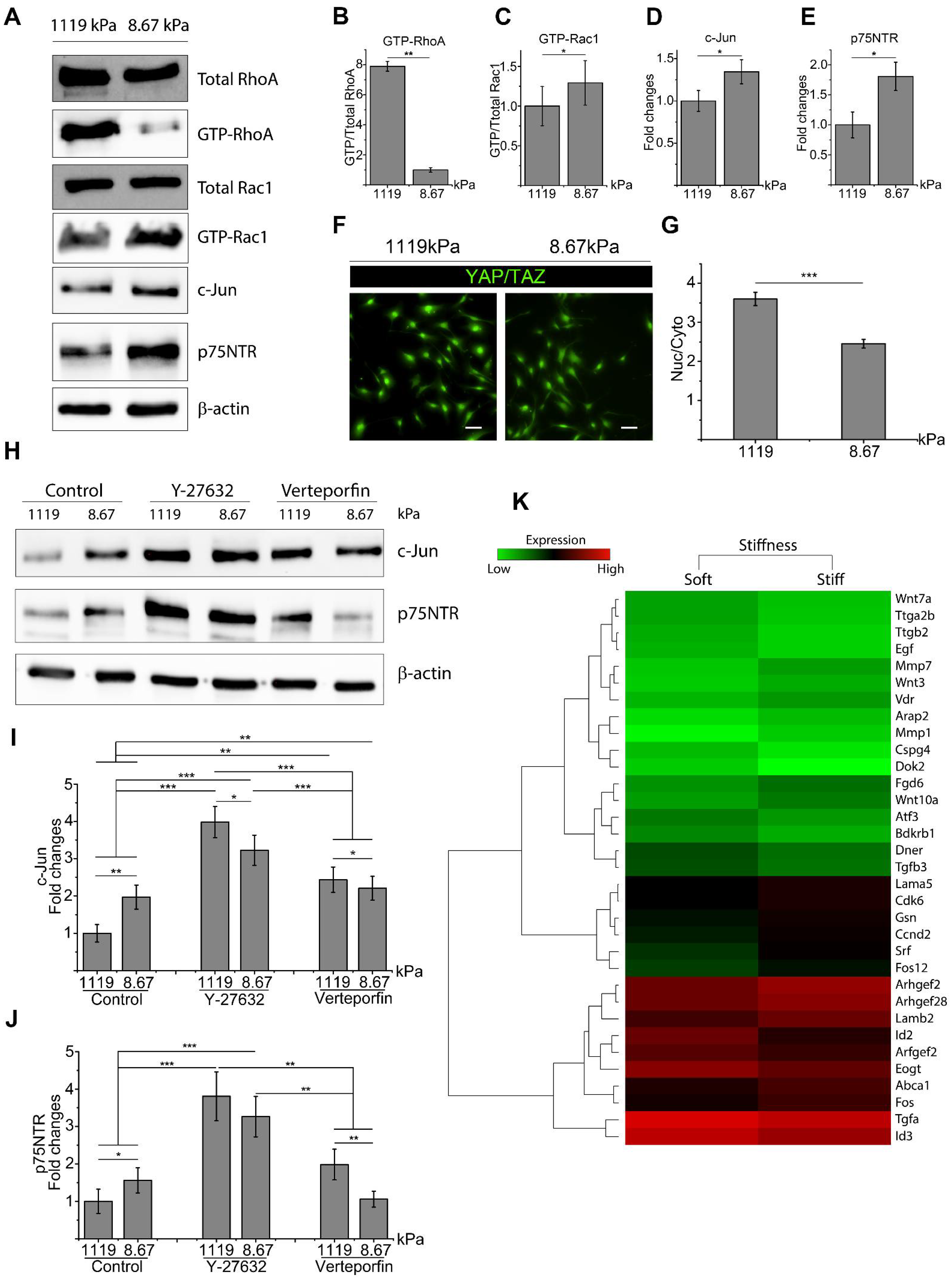 Ijms 22 04821 g001 Ijms 22 04821 g001