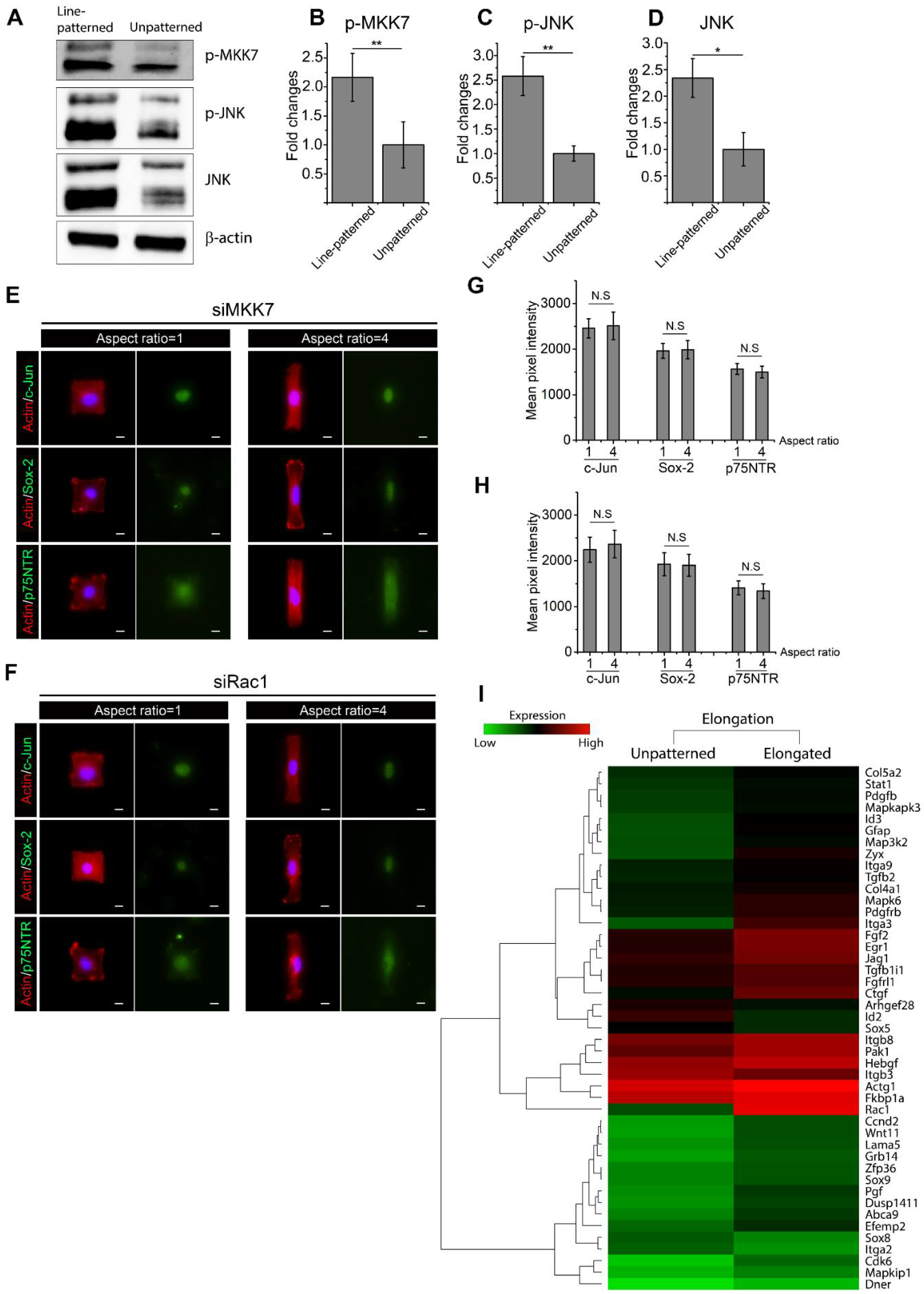 Ijms 22 04821 g005 Ijms 22 04821 g005