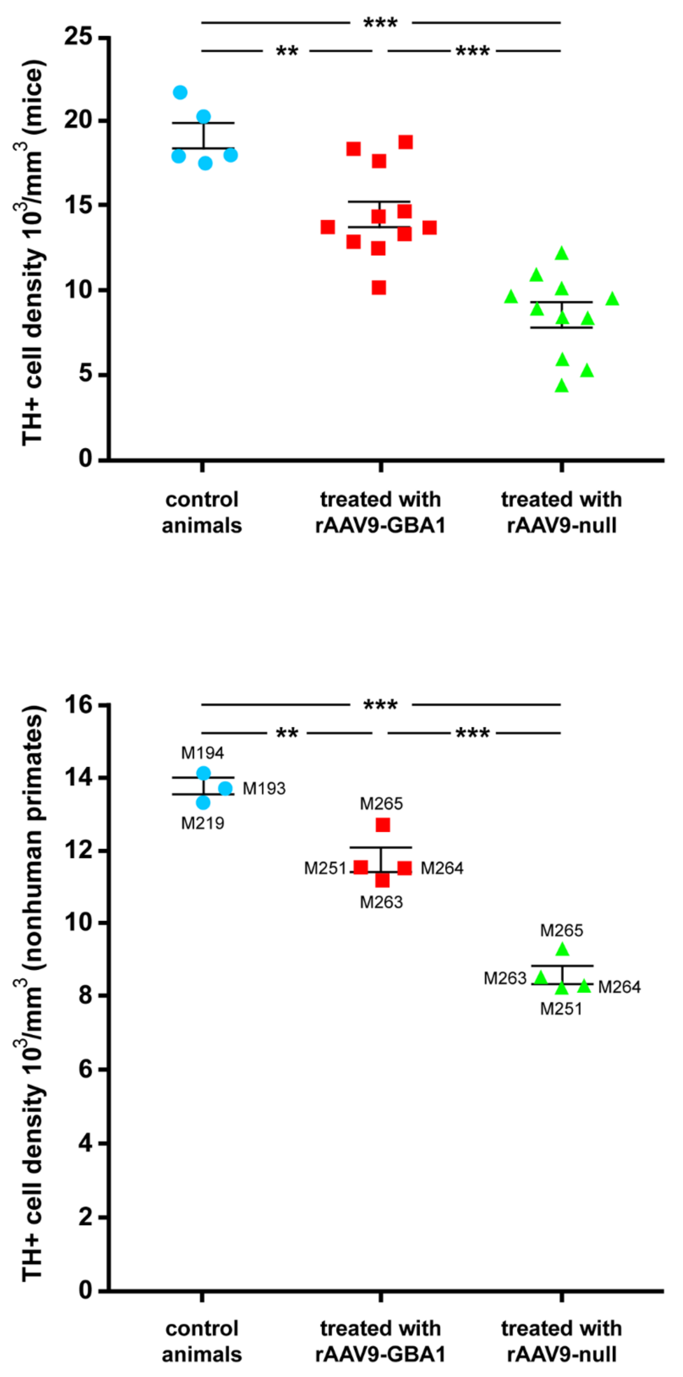 Ijms 22 04825 g002 Ijms 22 04825 g002