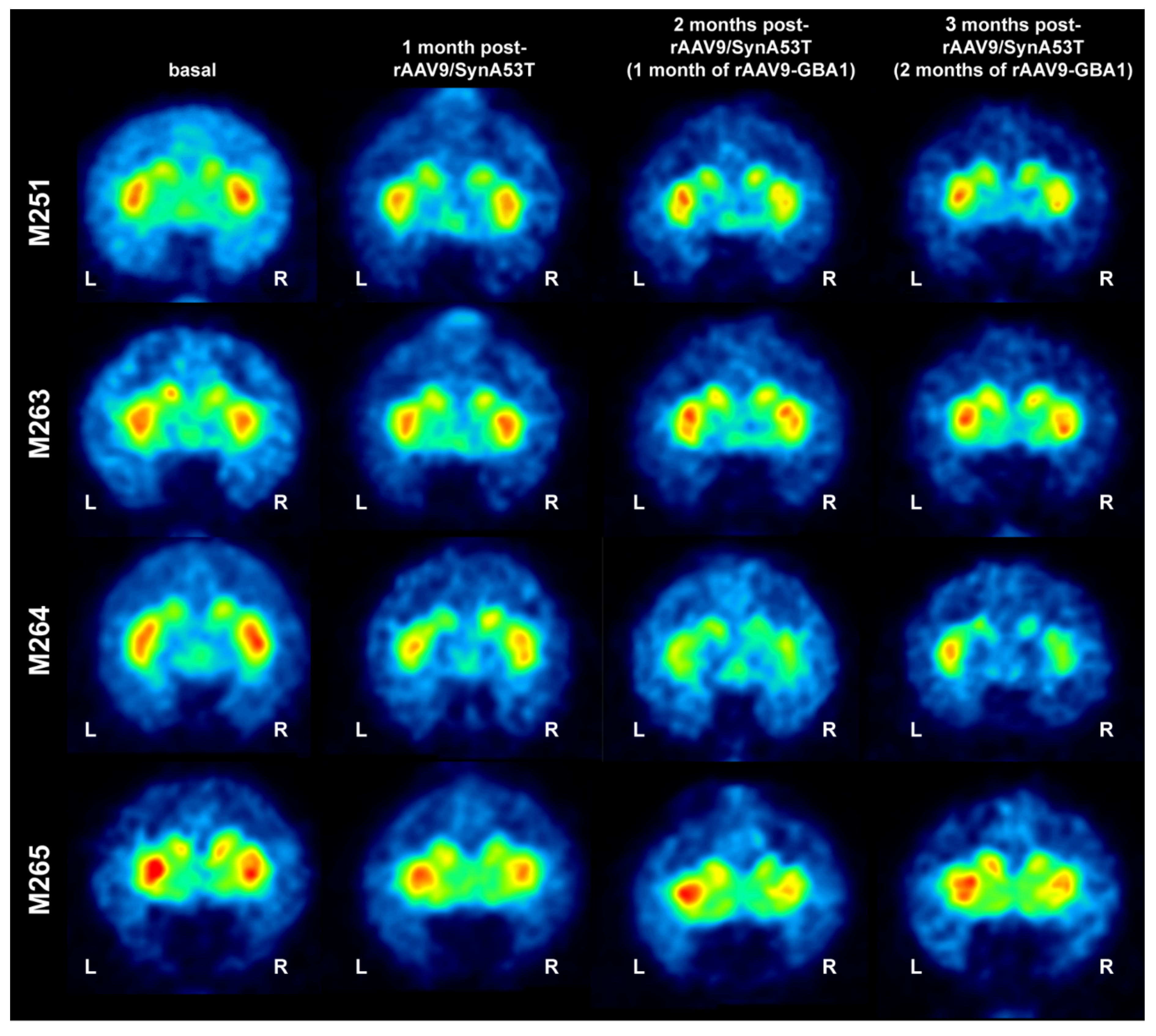 Ijms 22 04825 g003 Ijms 22 04825 g003