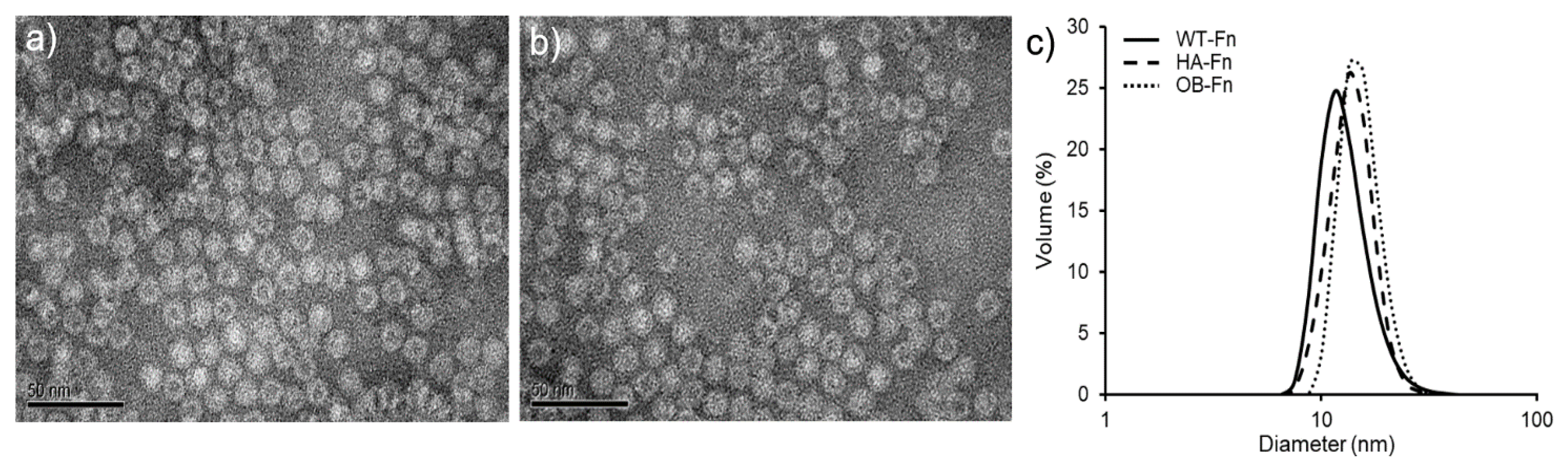 Ijms 22 04854 g001