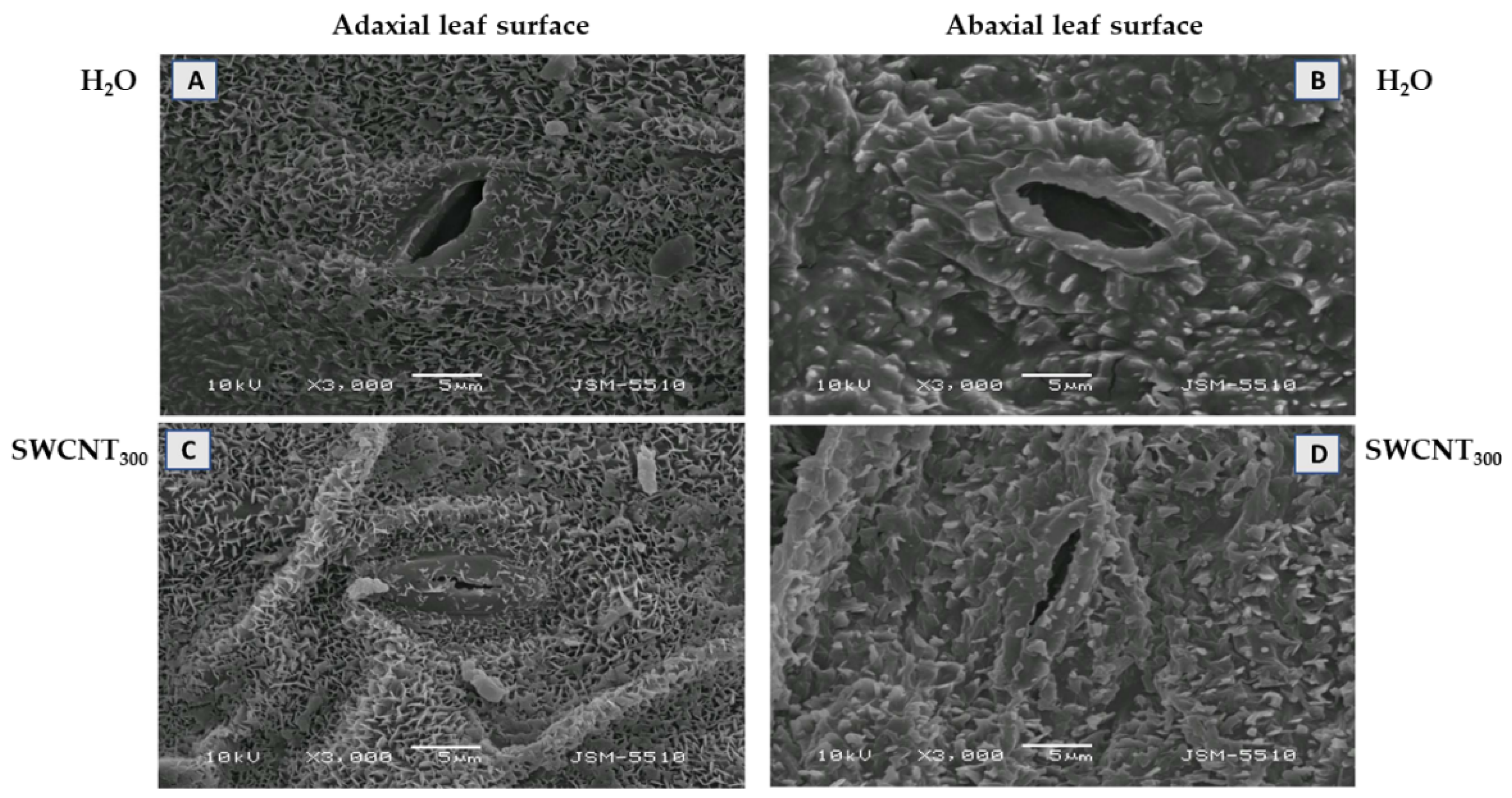 Ijms 22 04878 g001 Ijms 22 04878 g001