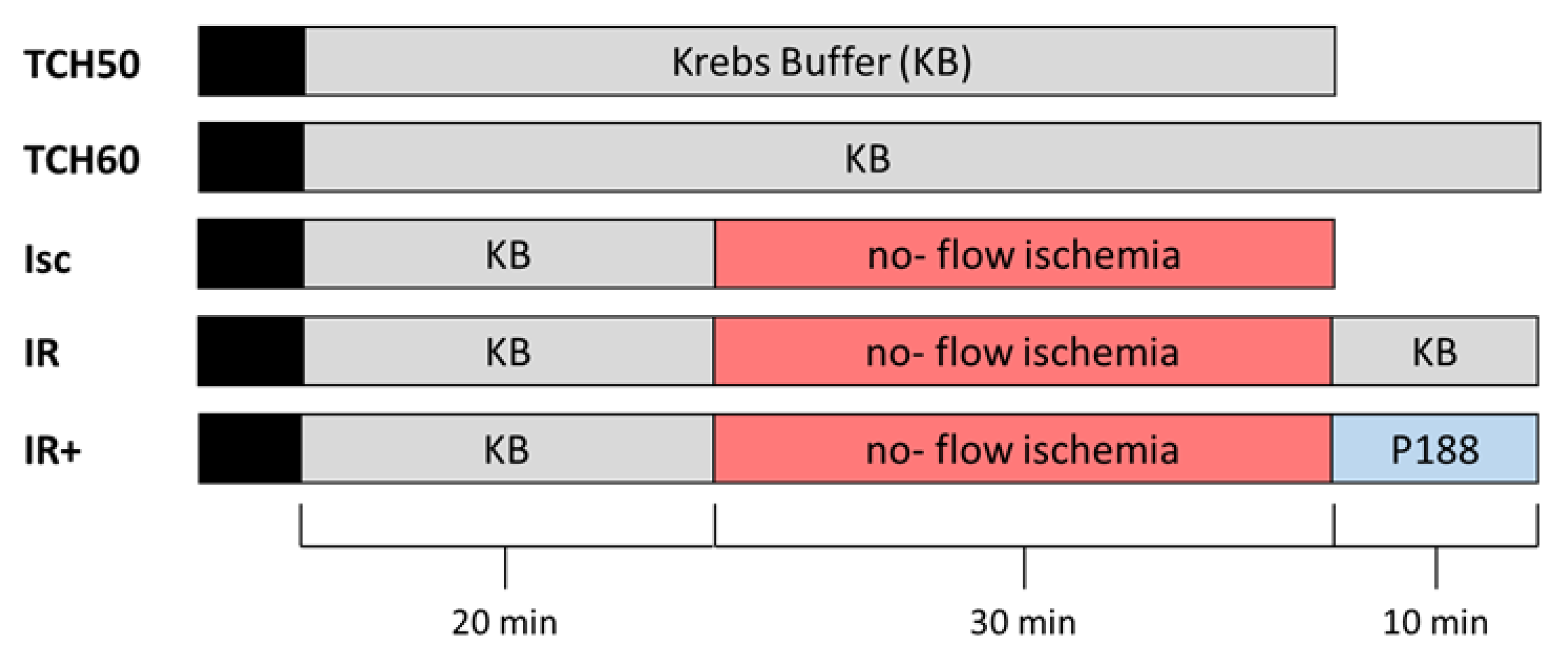 Ijms 22 04879 g001 Ijms 22 04879 g001