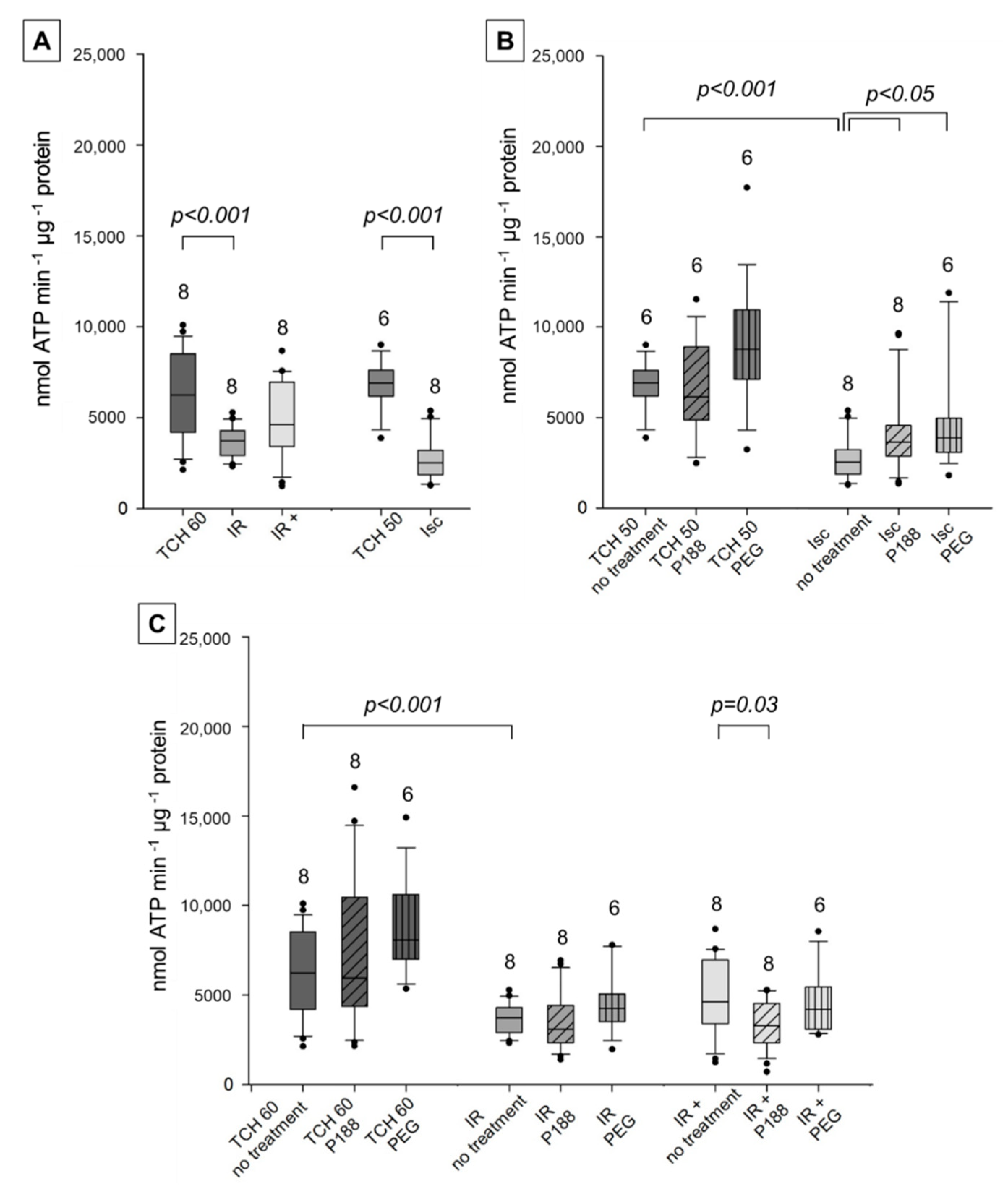 Ijms 22 04879 g003 Ijms 22 04879 g003
