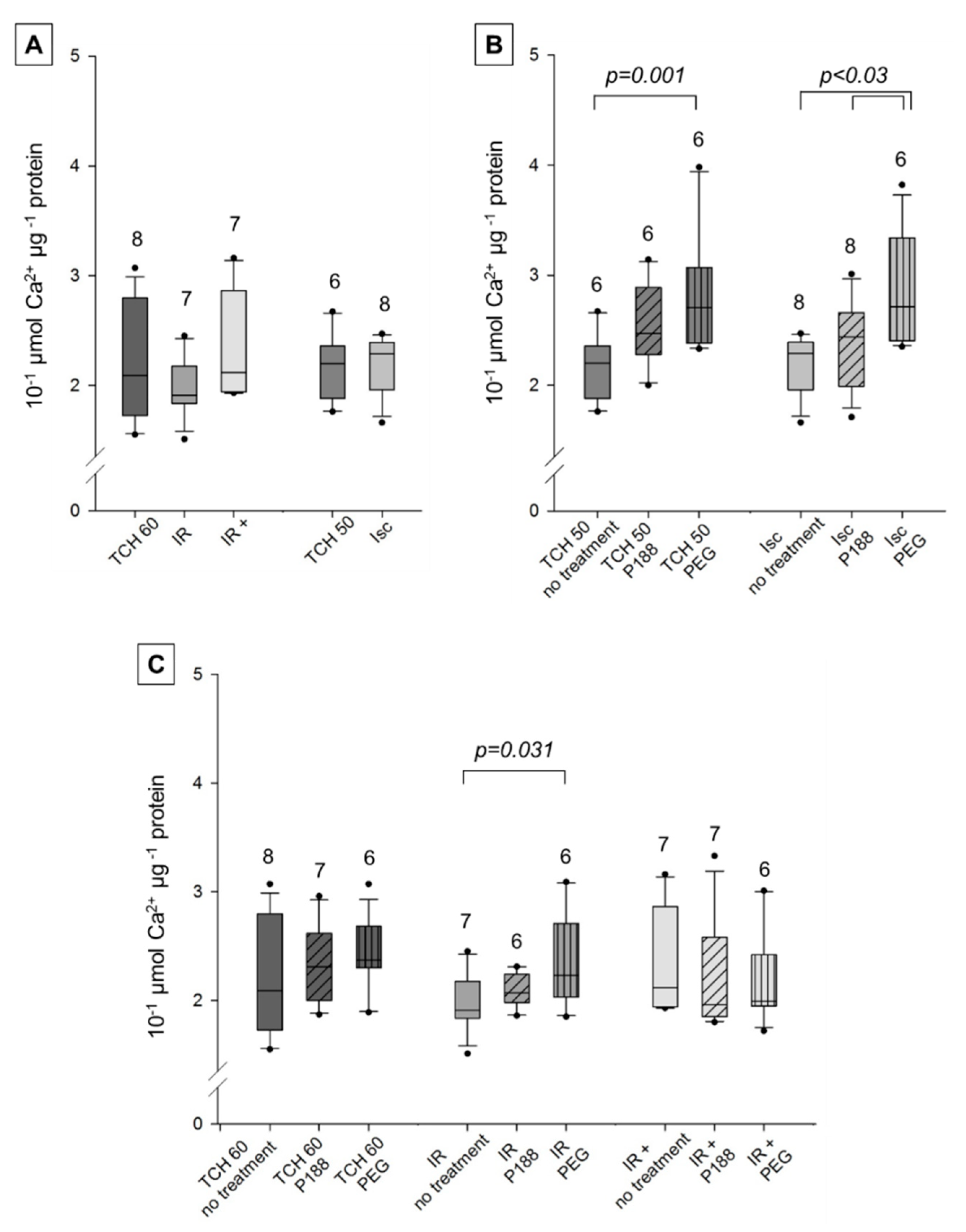 Ijms 22 04879 g006 Ijms 22 04879 g006
