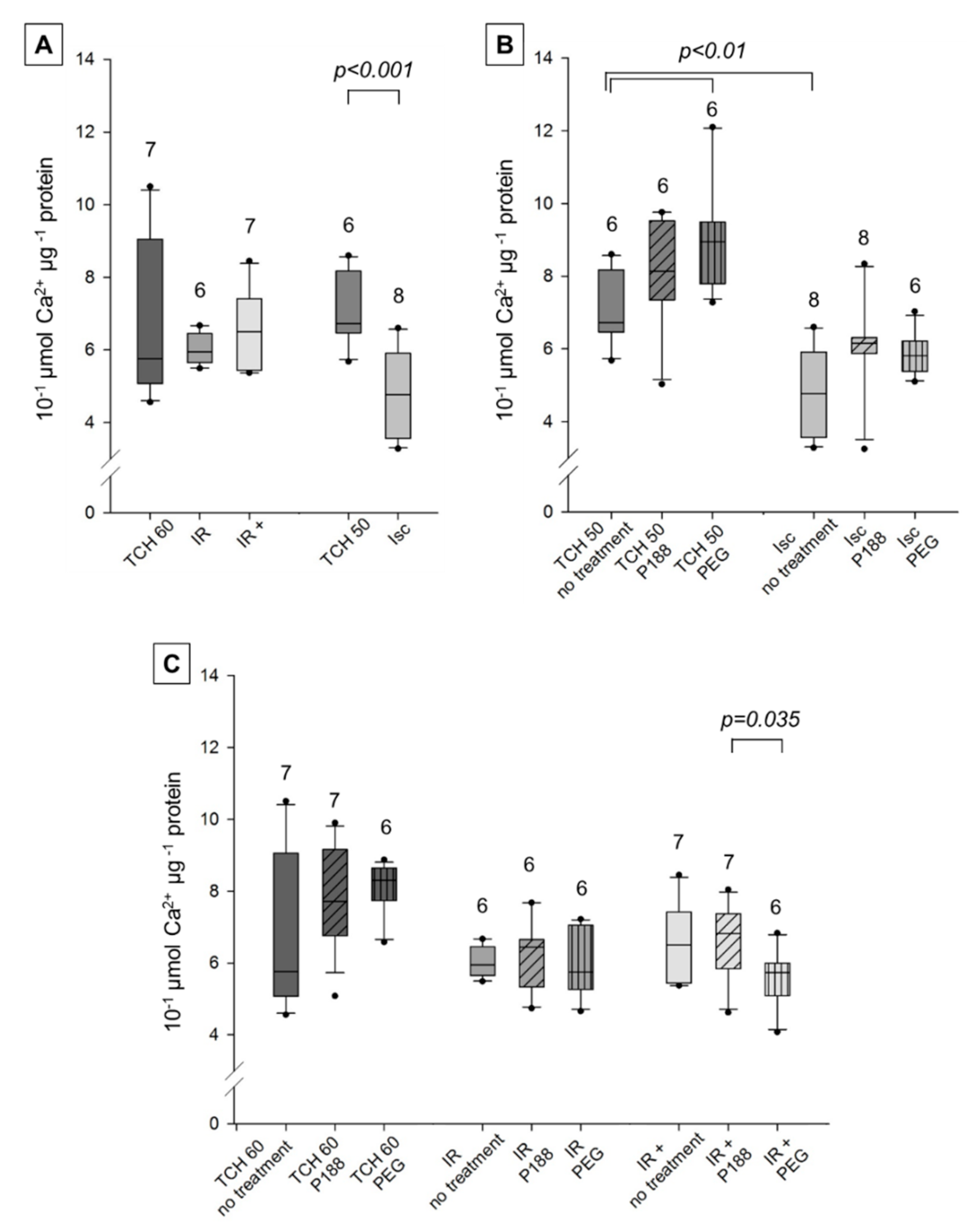 Ijms 22 04879 g007 Ijms 22 04879 g007