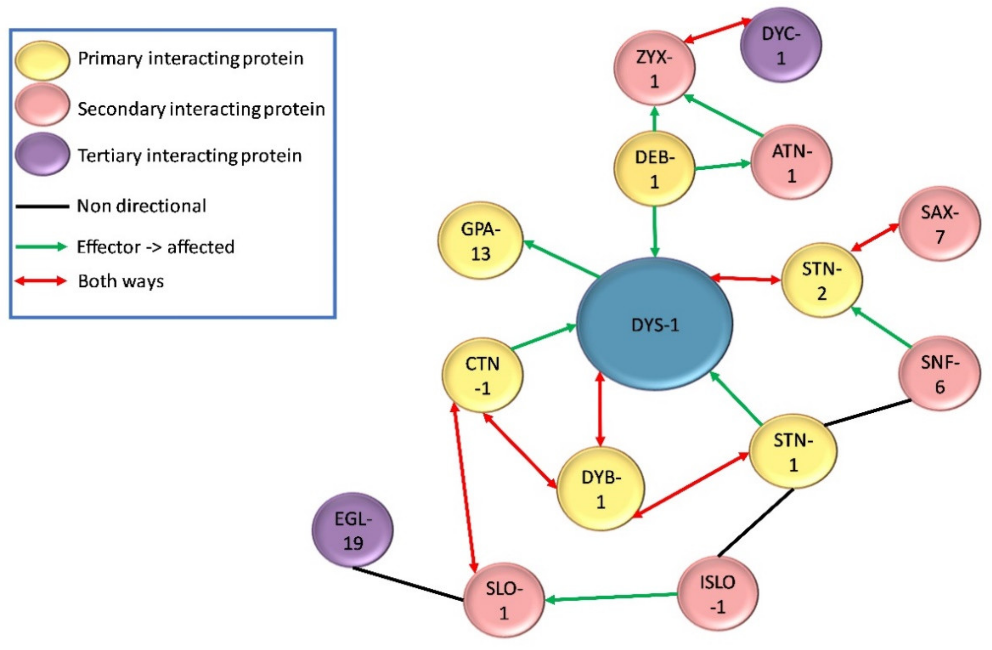 Ijms 22 04891 g003 Ijms 22 04891 g003